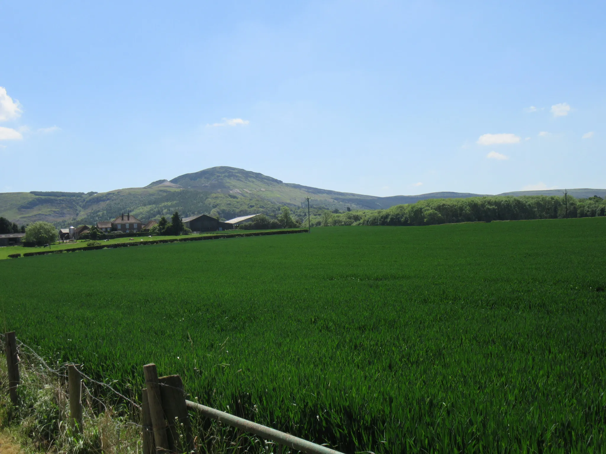 Photo showing: Carlton Moor