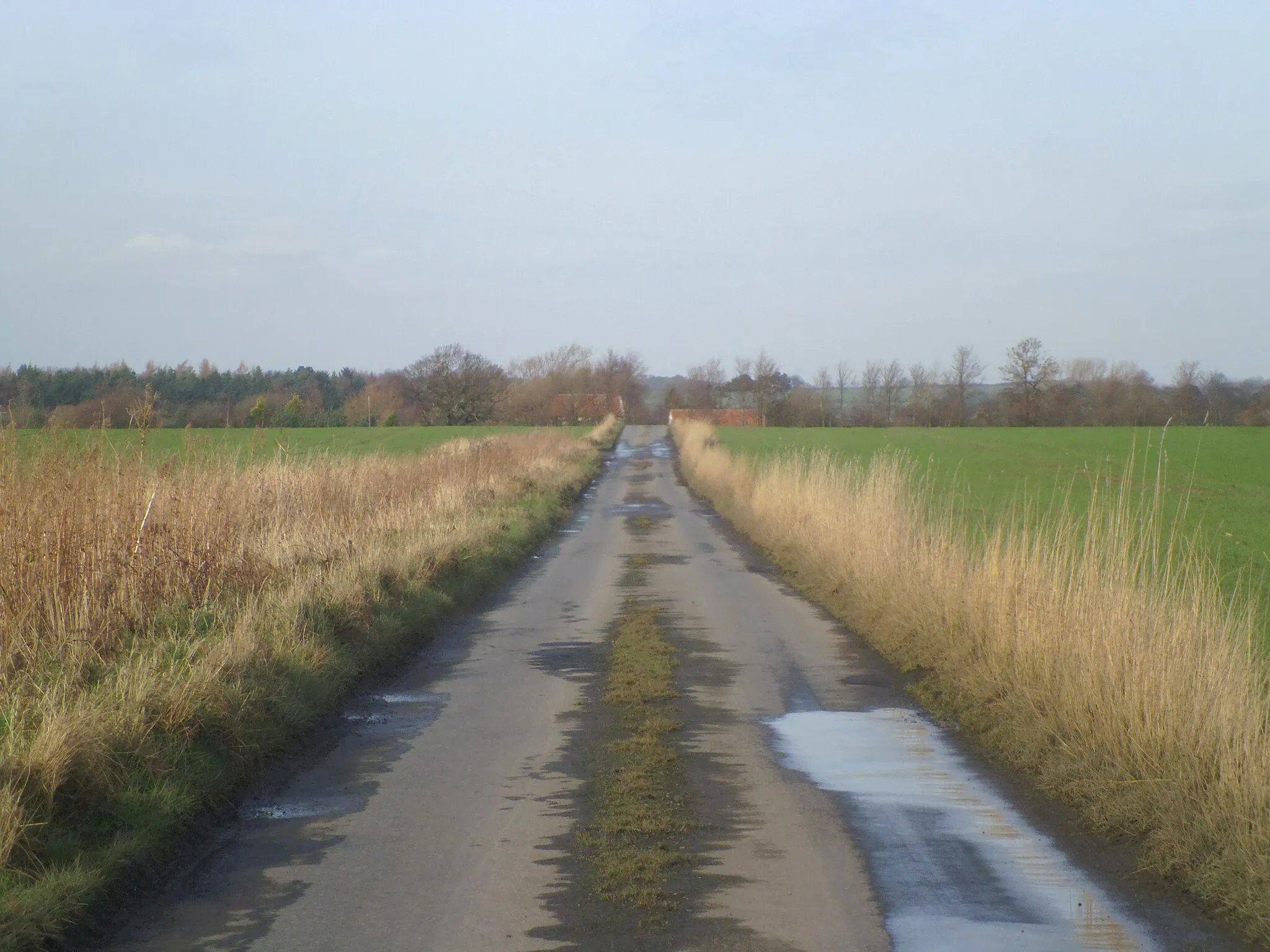 Photo showing: Country lane, Great Busby