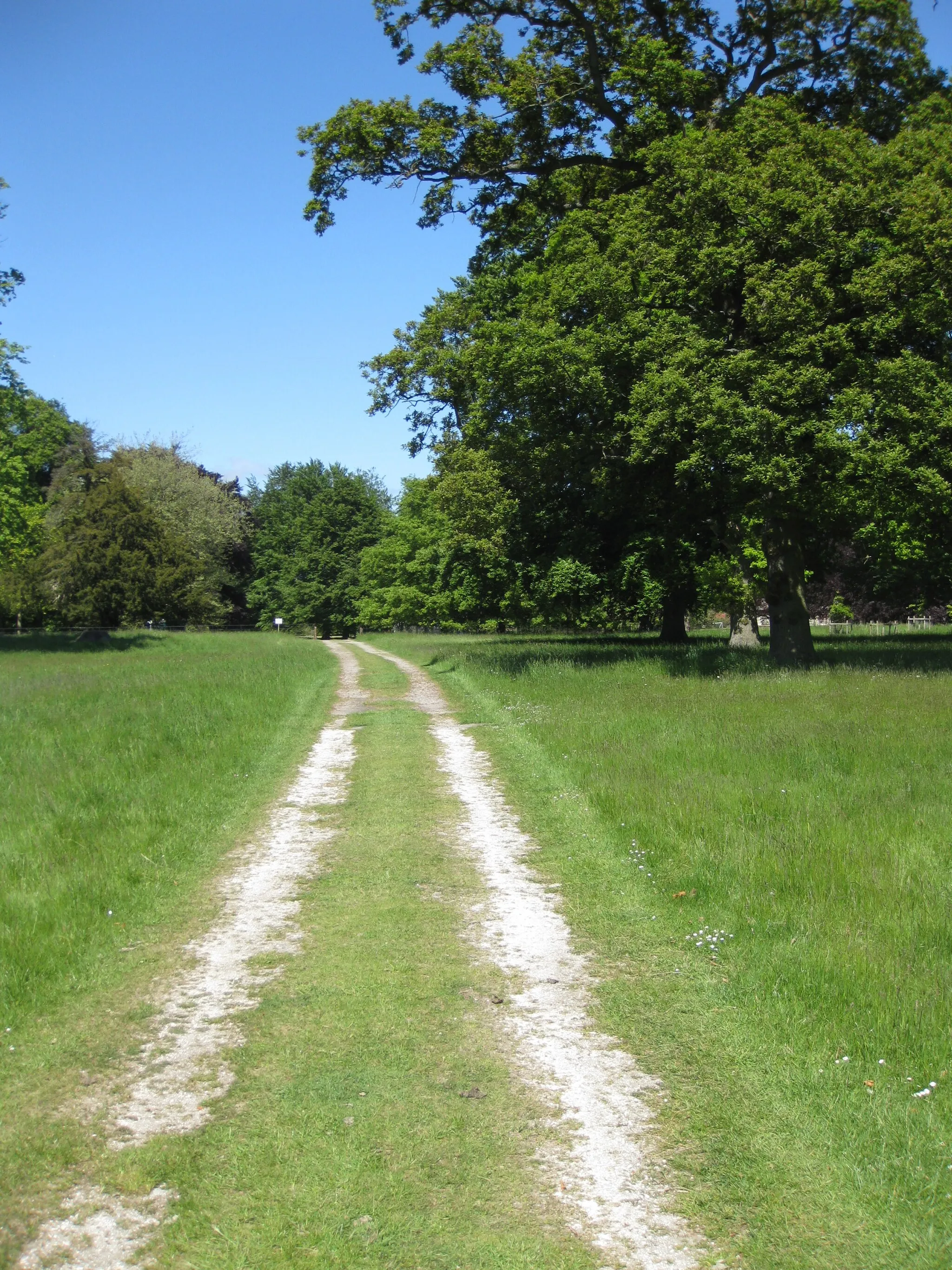 Photo showing: The old driveway, Scampston Hall