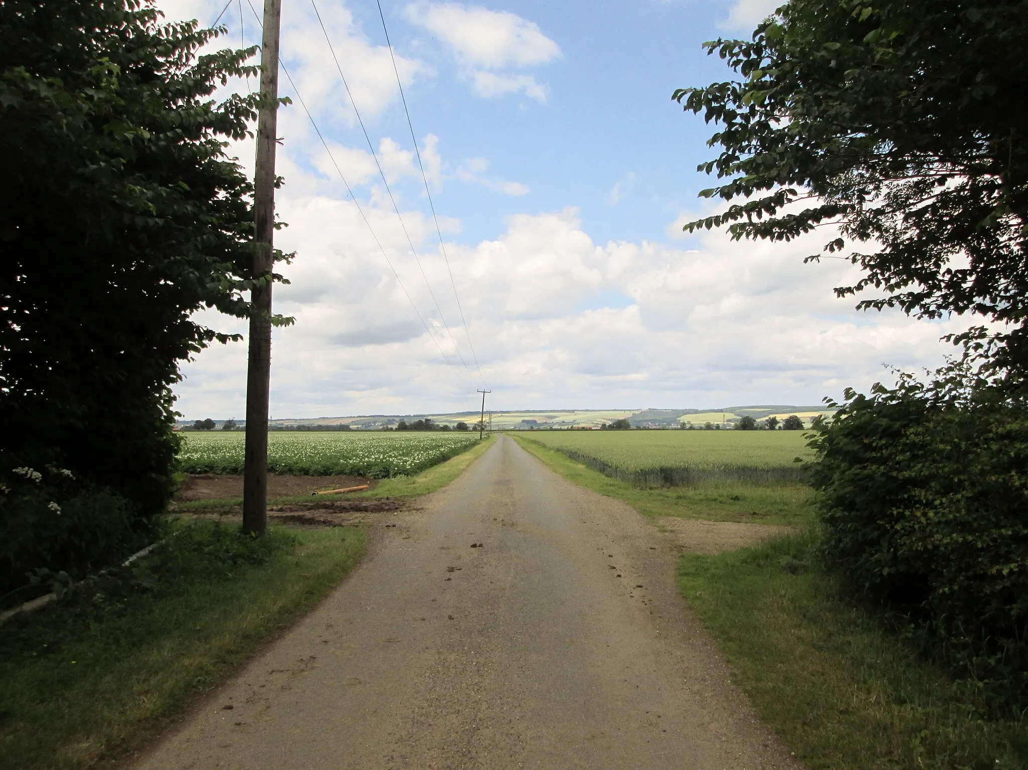Photo showing: Access  road  from  Ochre  Farm  to  Malton  Road