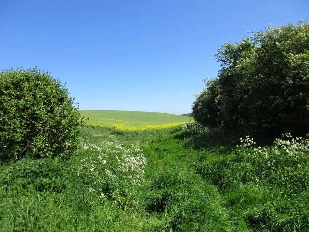 Photo showing: Bridleway, Helperthorpe Slack