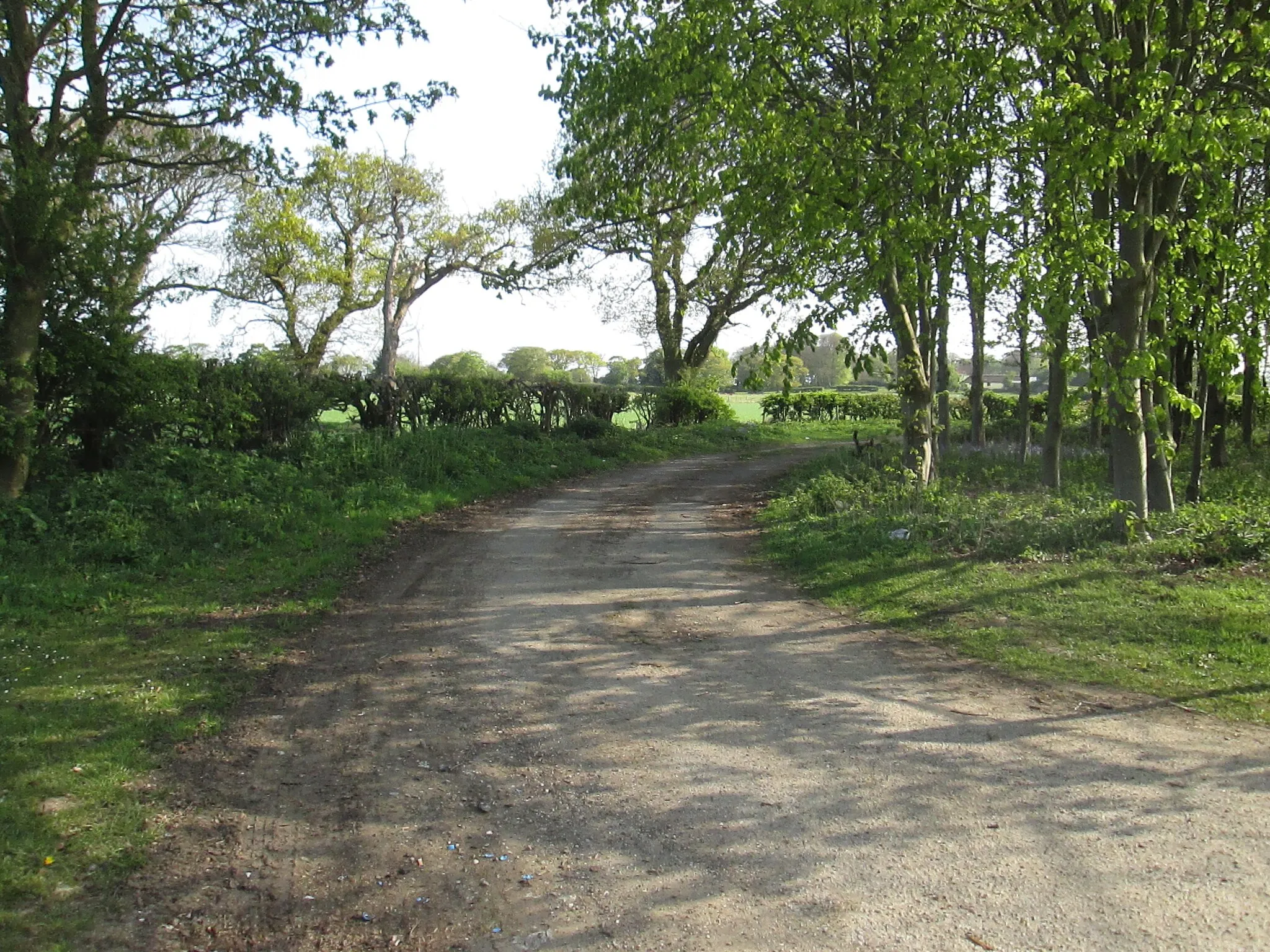 Photo showing: A  layby  off  a  minor  road