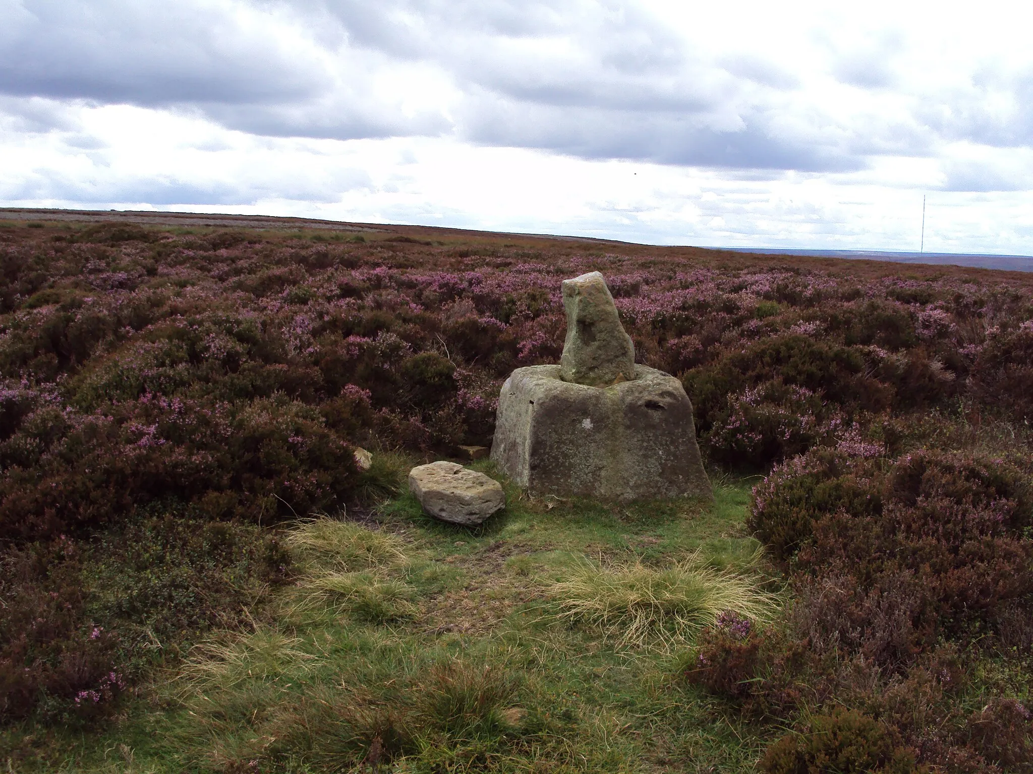 Photo showing: Stump  Cross