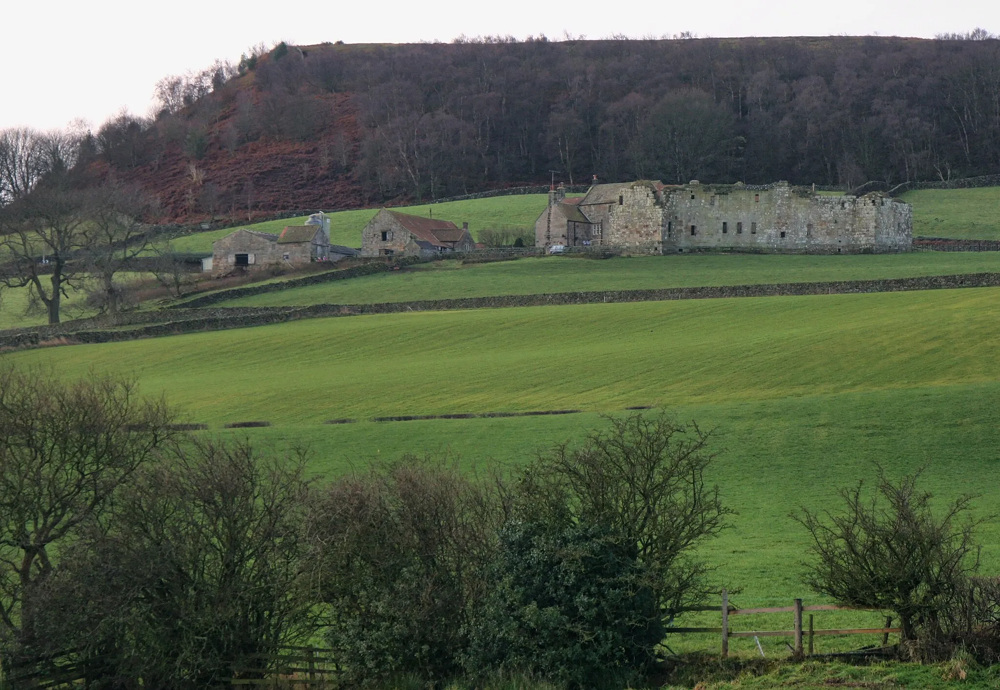 Photo showing: Danby Castle