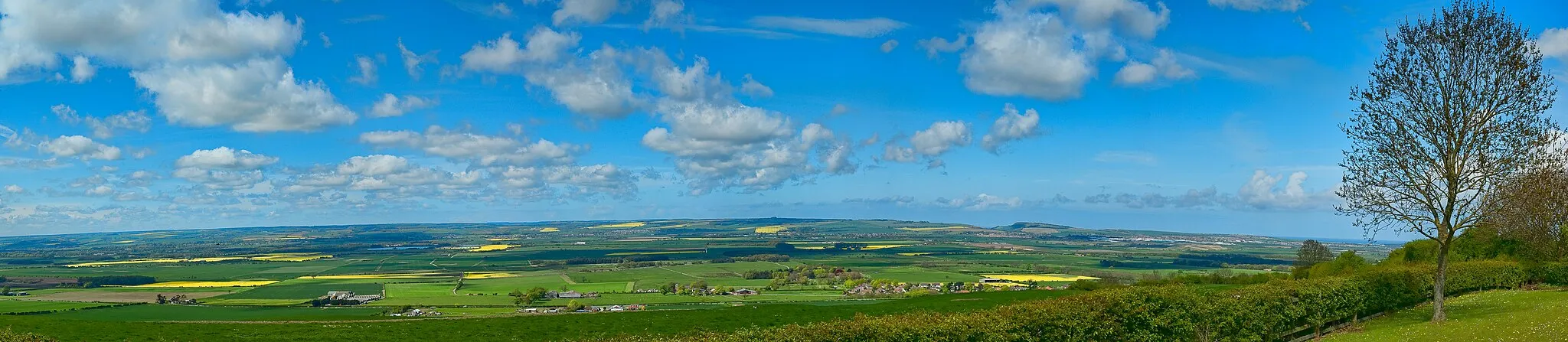 Photo showing: Near Staxton, North Yorkshire

Become a fan on facebook