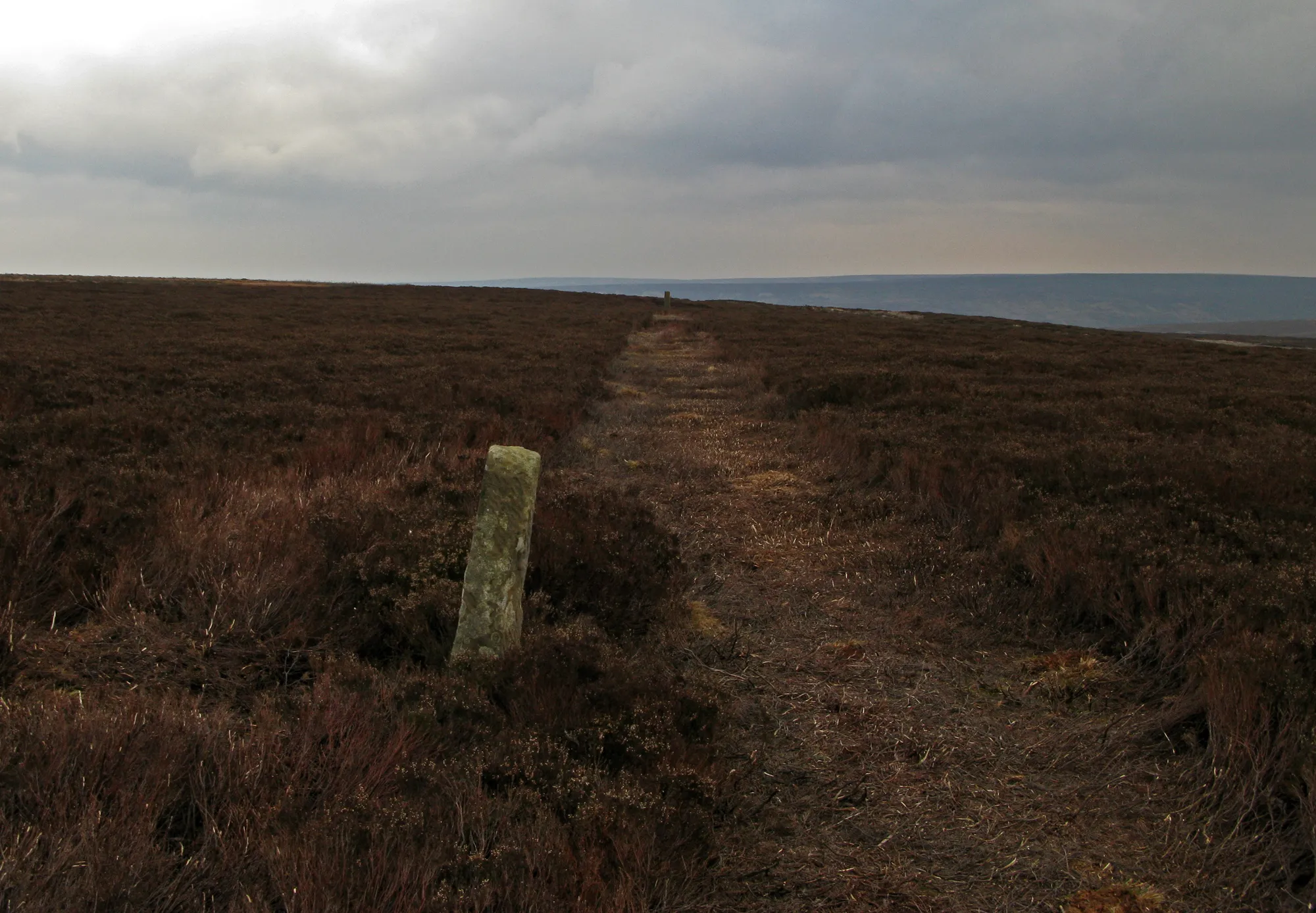 Photo showing: Boundary stone along lane mown through  heather