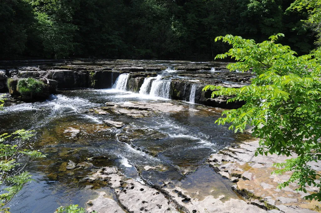 Photo showing: Upper Falls, Aysgarth