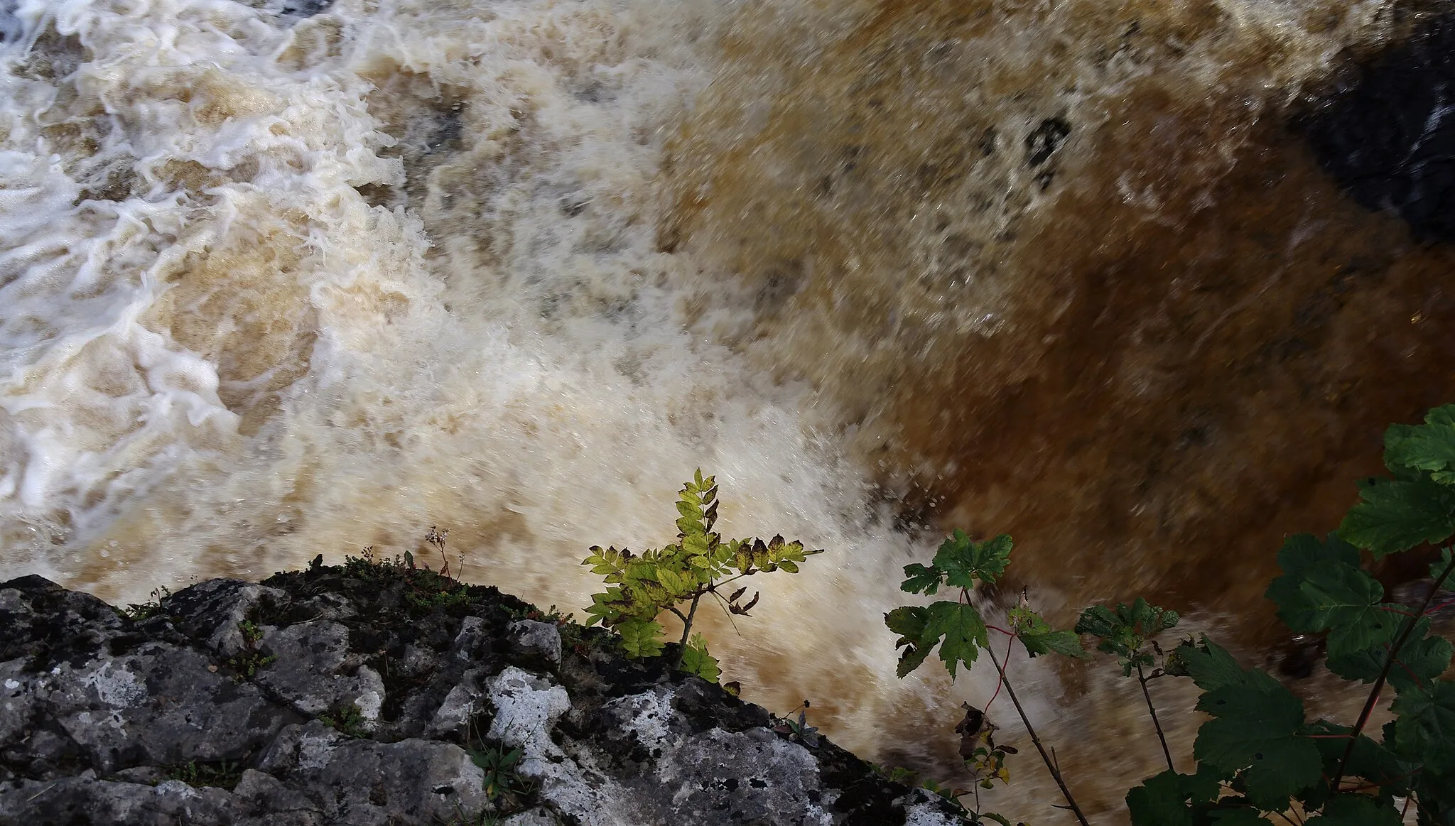 Photo showing: Short exposure photo of the upper Aysgarth Falls in Yorkshire.