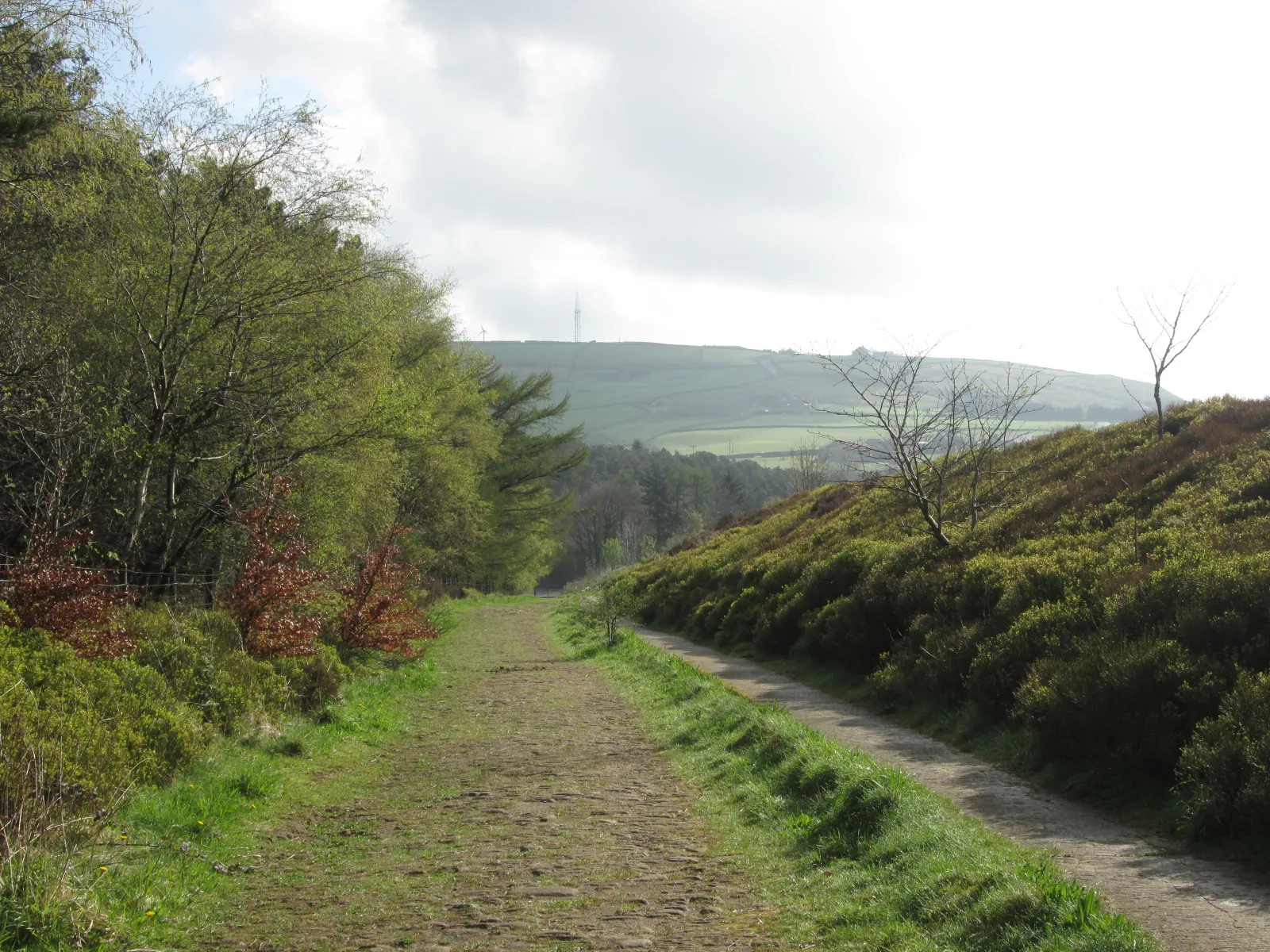 Photo showing: Bridleway descending towards Ogden Dam