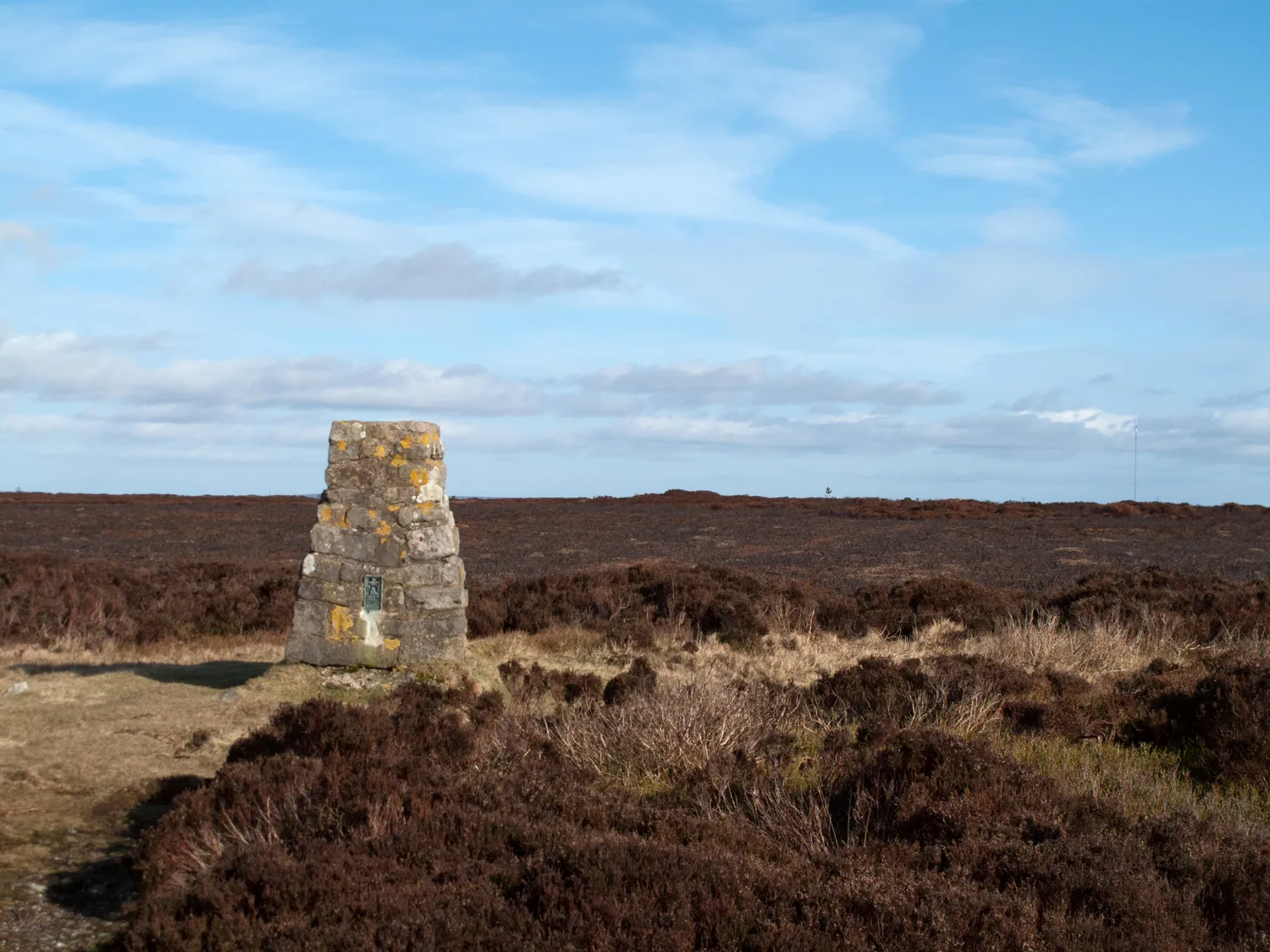 Photo showing: Trig point of Dodd End