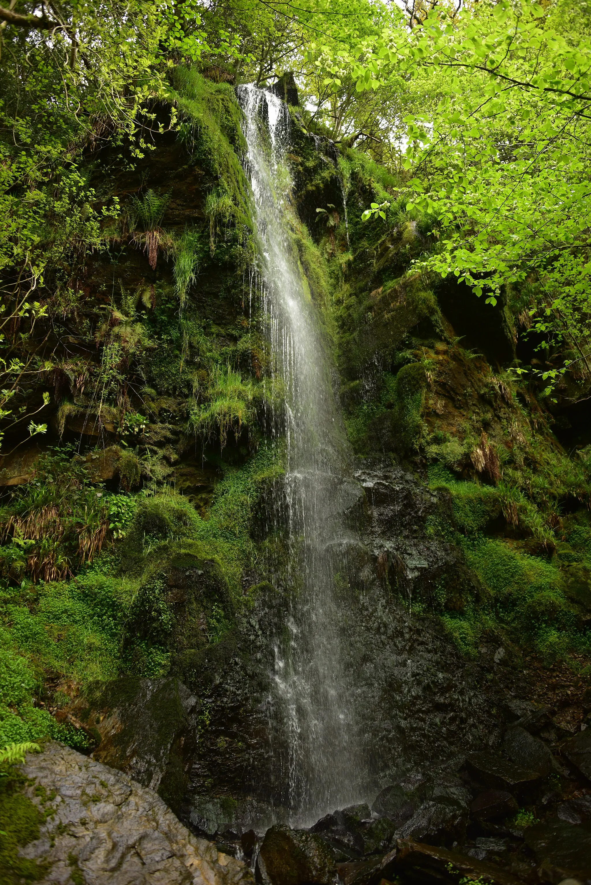 Photo showing: Mallyan Spout, the tallest waterfall in the North York Moors.