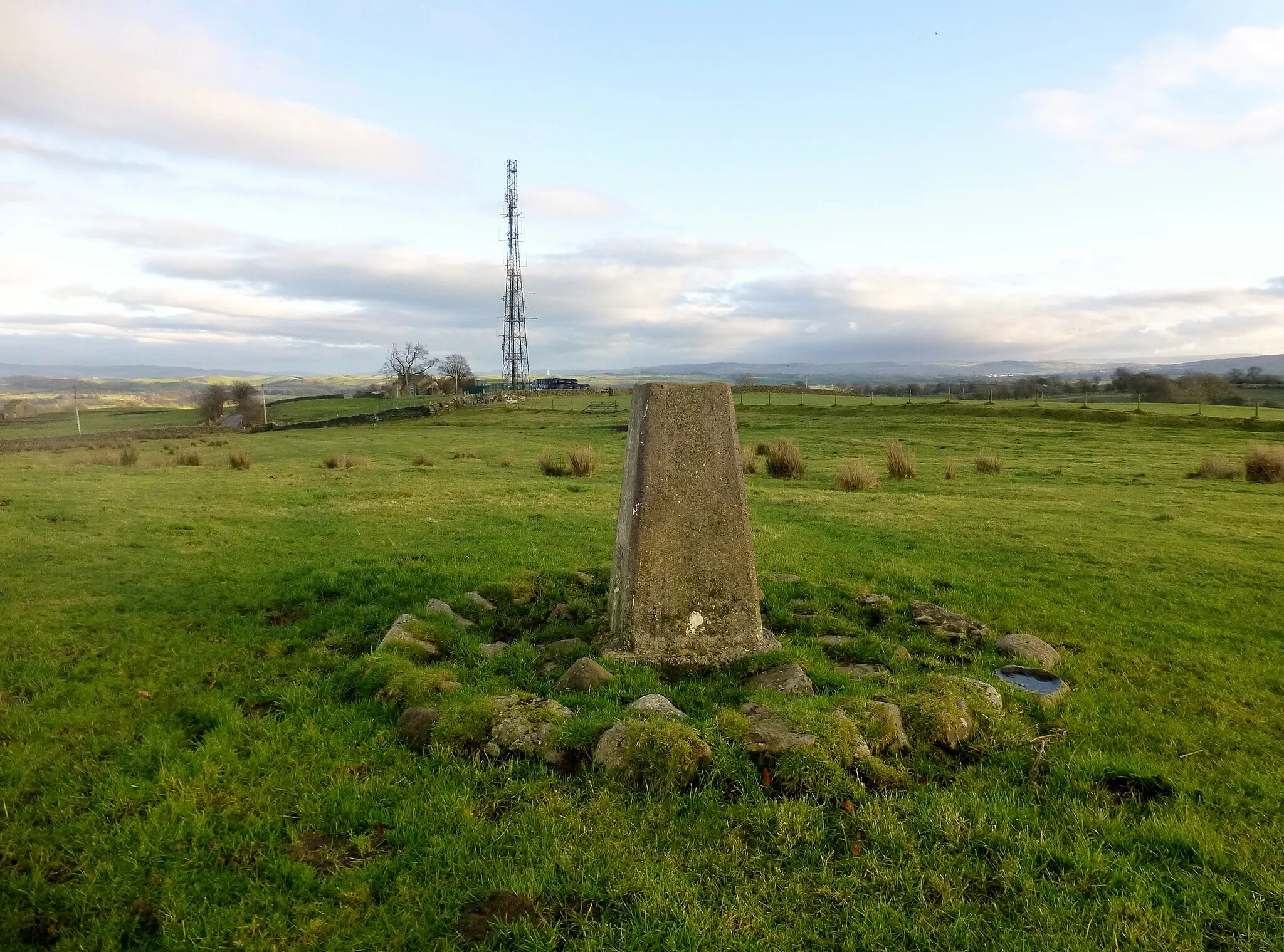 Photo showing: Dunhazels Farm Trig Point