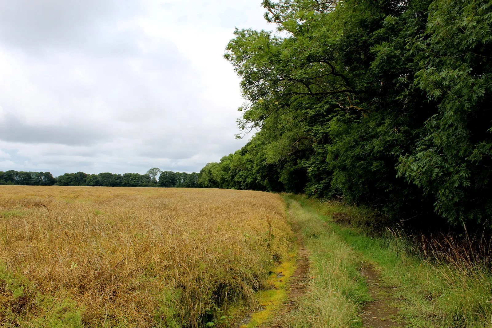 Photo showing: Beside the Field of The White Battle