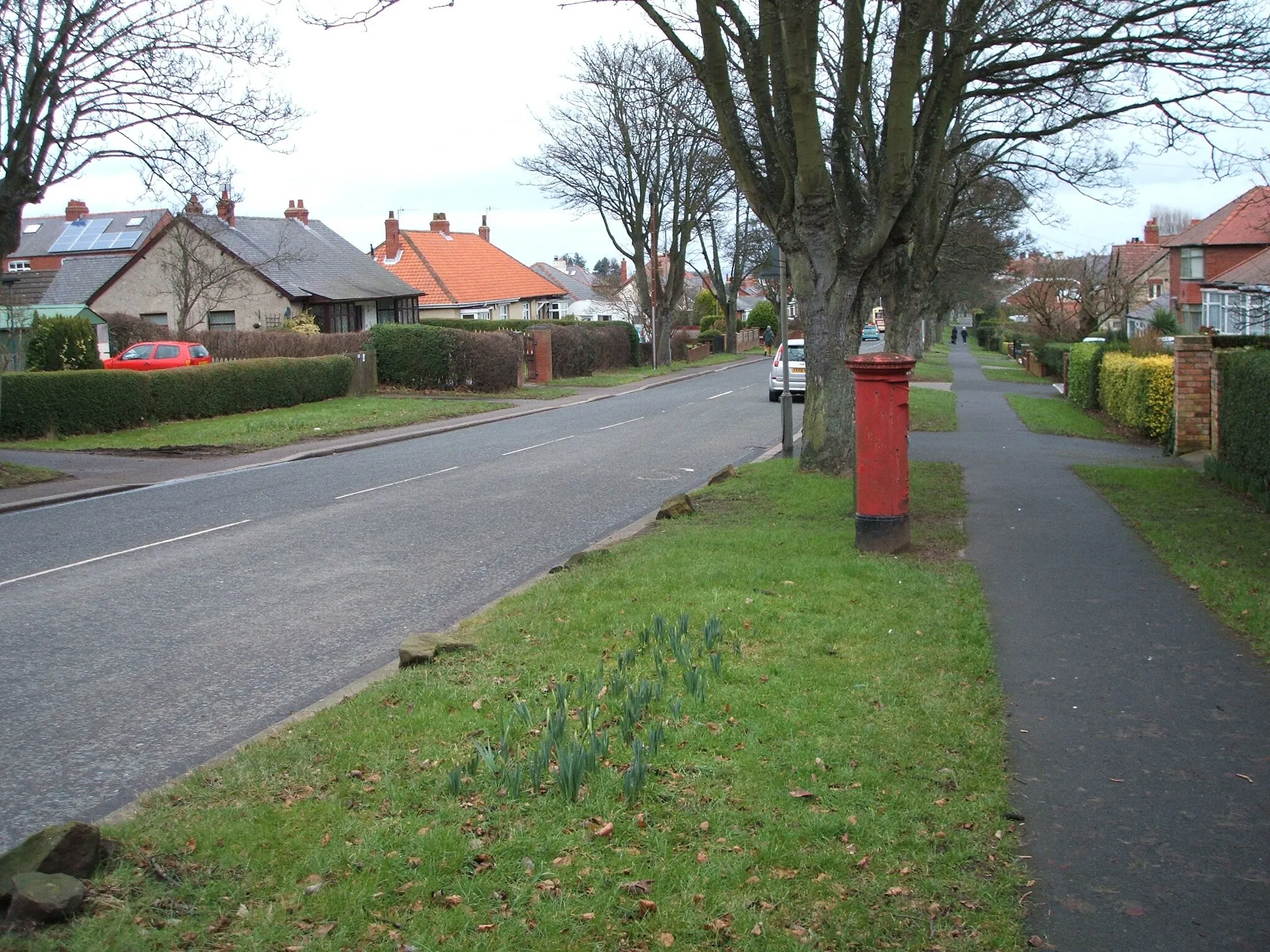 Photo showing: Cross Lane, Scarborough