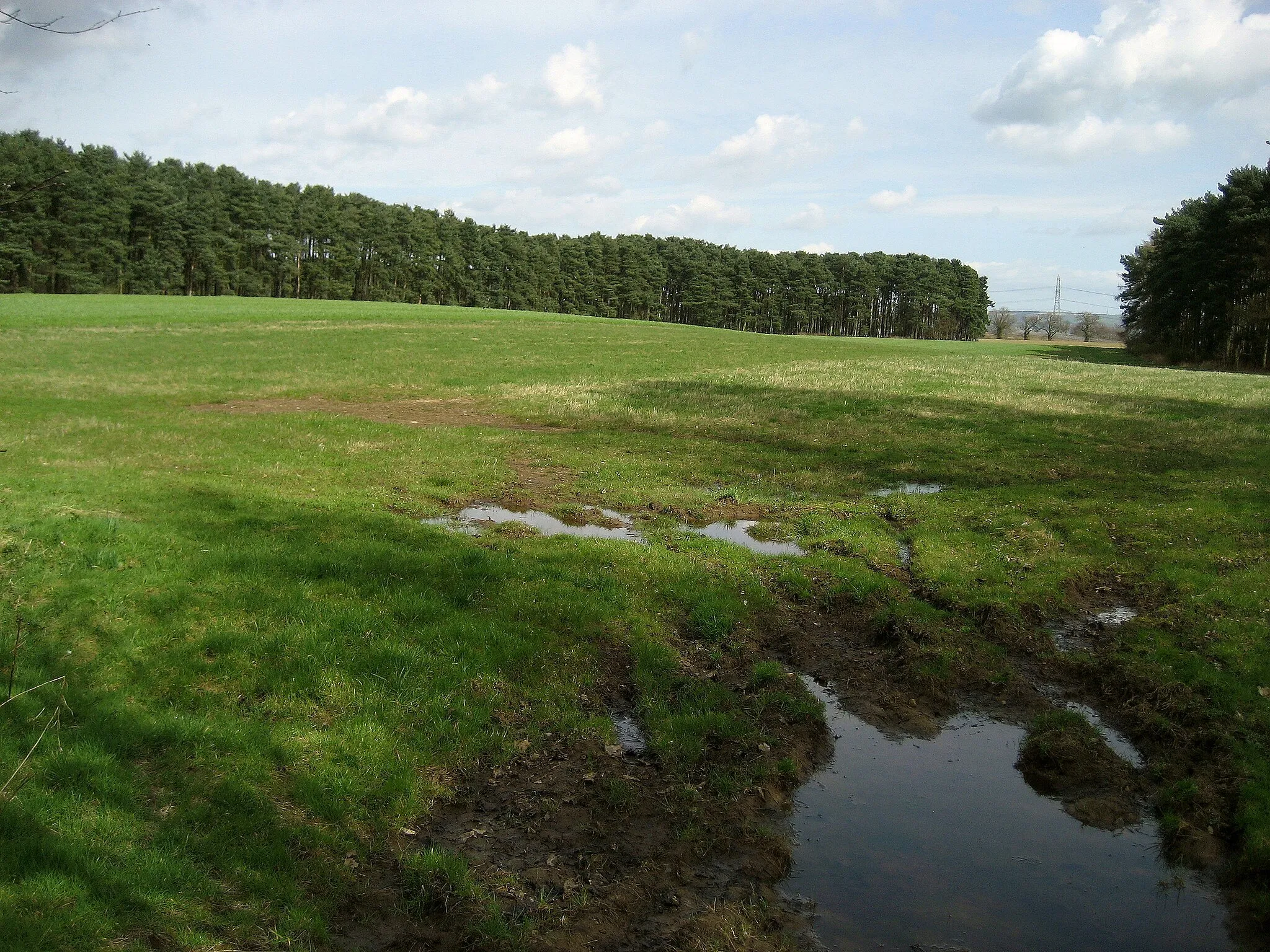 Photo showing: Countryside South of Sand Hutton Woodland and Pasture combine to constitute the countryside around Sand Hutton.
