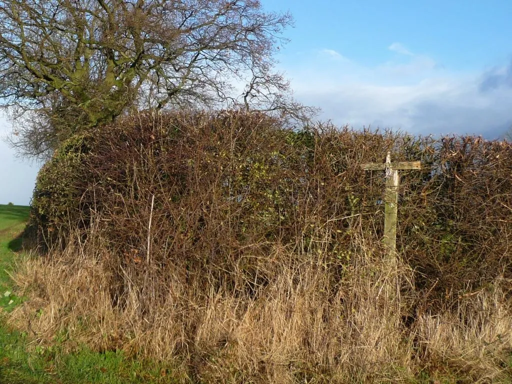 Photo showing: Damaged footpath sign, north side, Church Lane