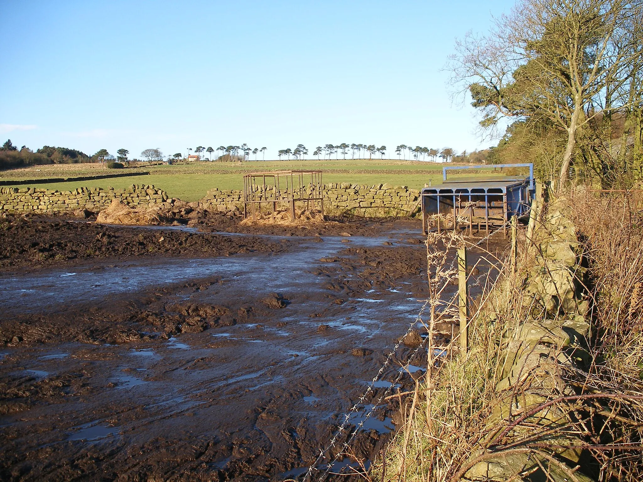 Photo showing: A very muddy right of way