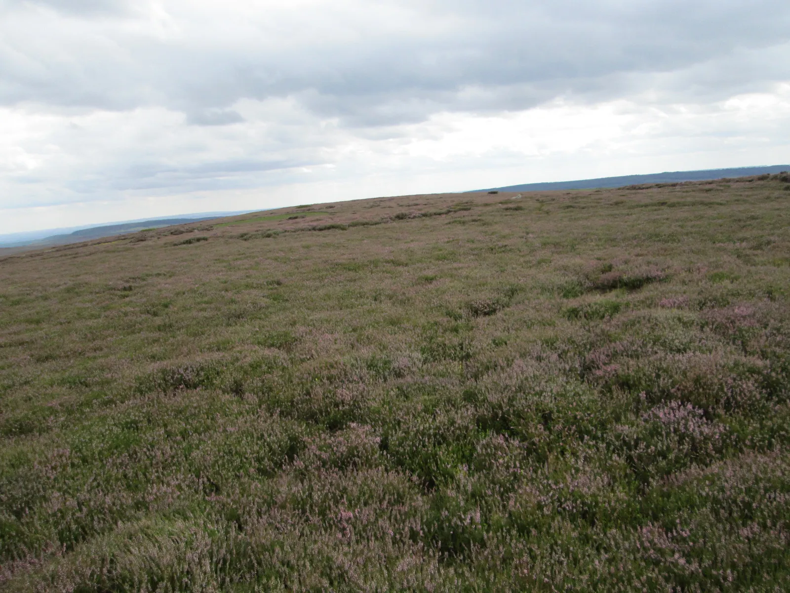 Photo showing: Bilsdale East Moor