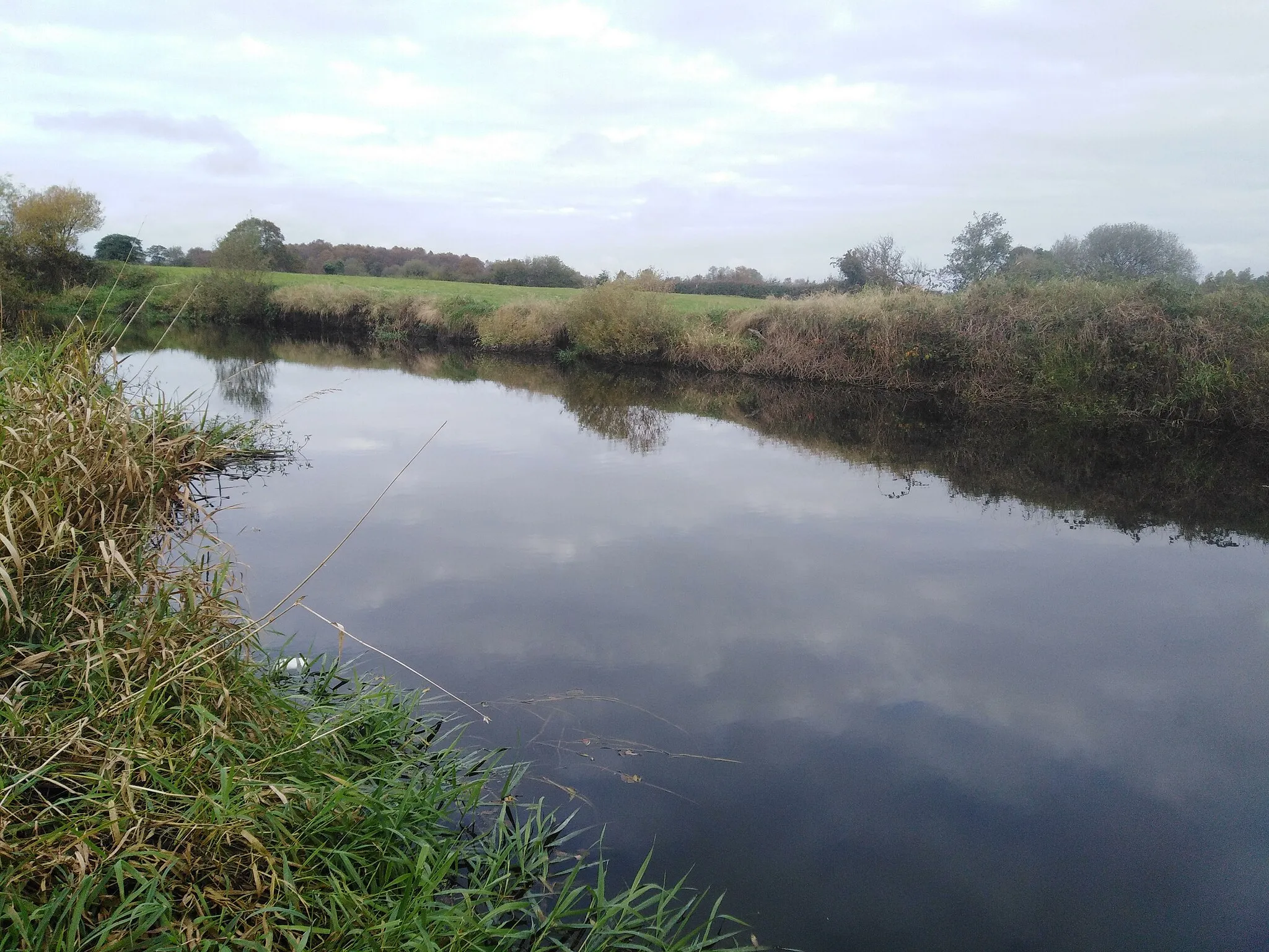 Photo showing: Lower Clady River 1 mile below Glenone Bridge