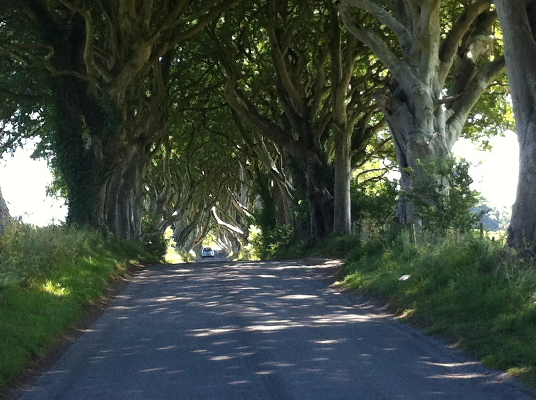 Photo showing: The Dark Hedges