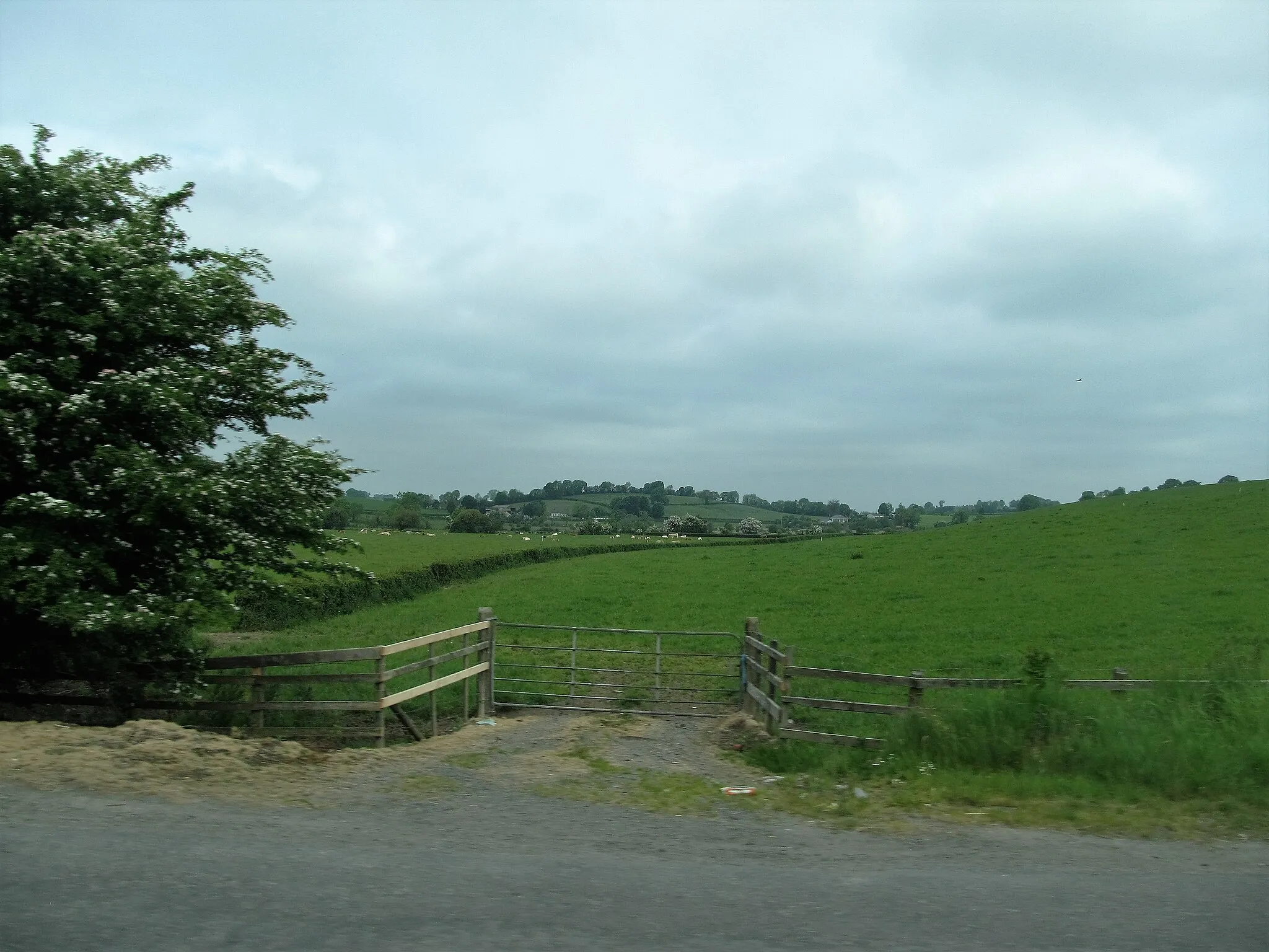 Photo showing: Drumlin landscape between the Monaghan and Killylea roads