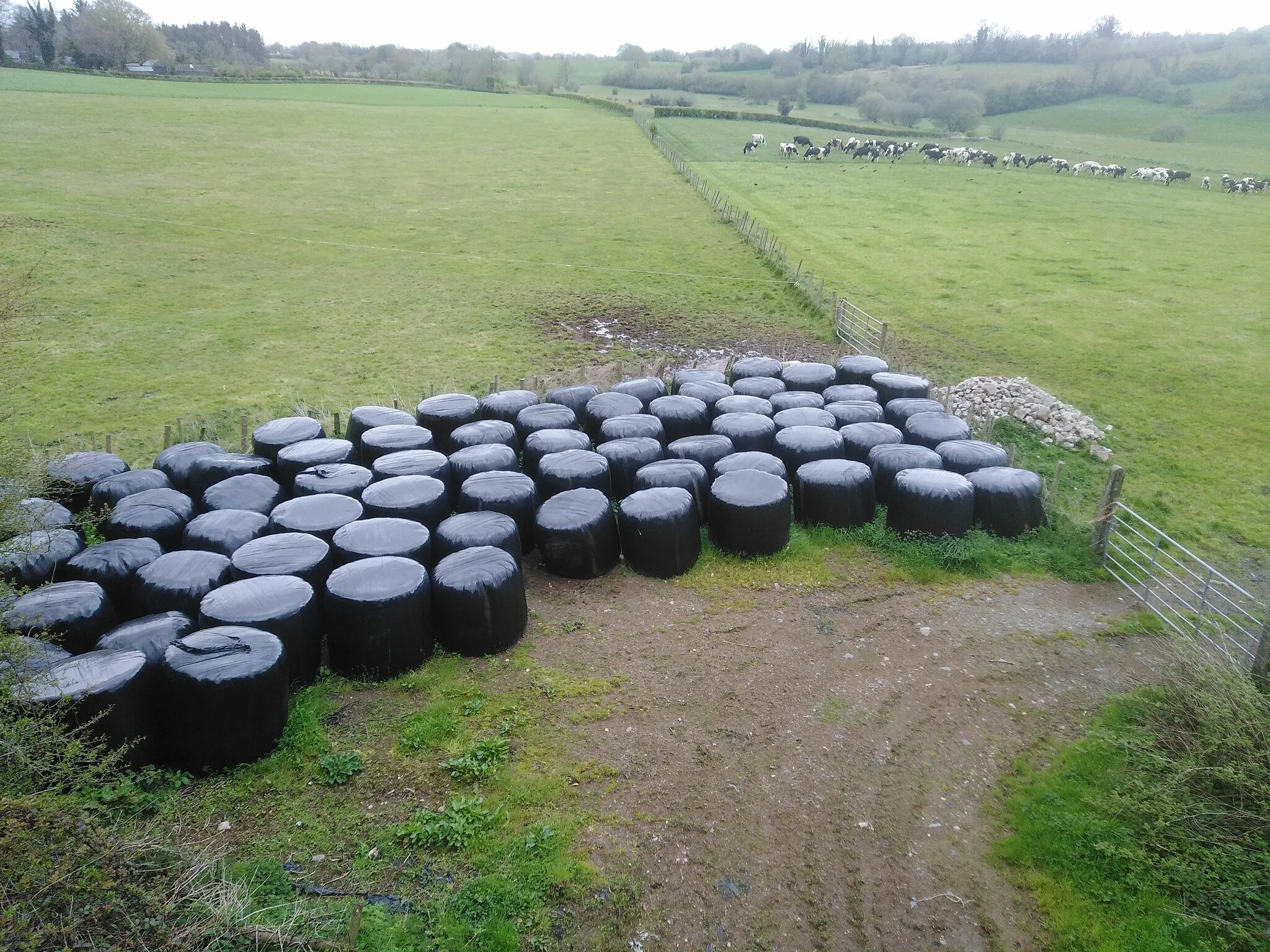 Photo showing: Taken From Megargy Bridge Between Magherafelt And Desertmartin