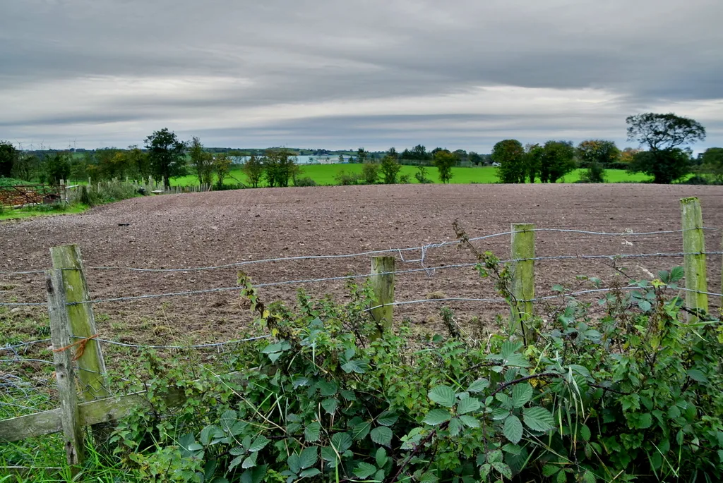 Photo showing: A harrowed field, Sixmilecross