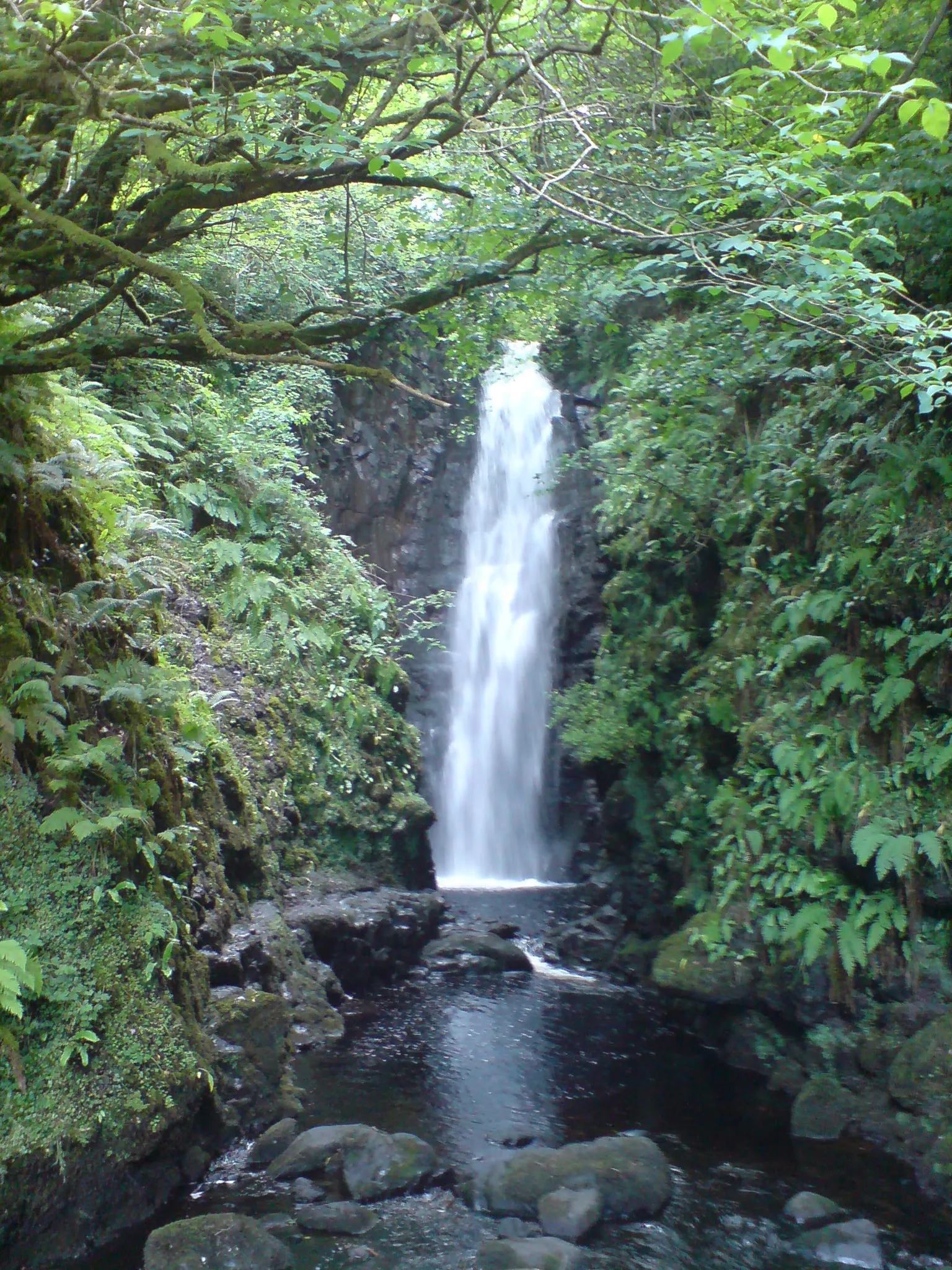 Photo showing: Cranny Falls, Carnlough, County Antrim.