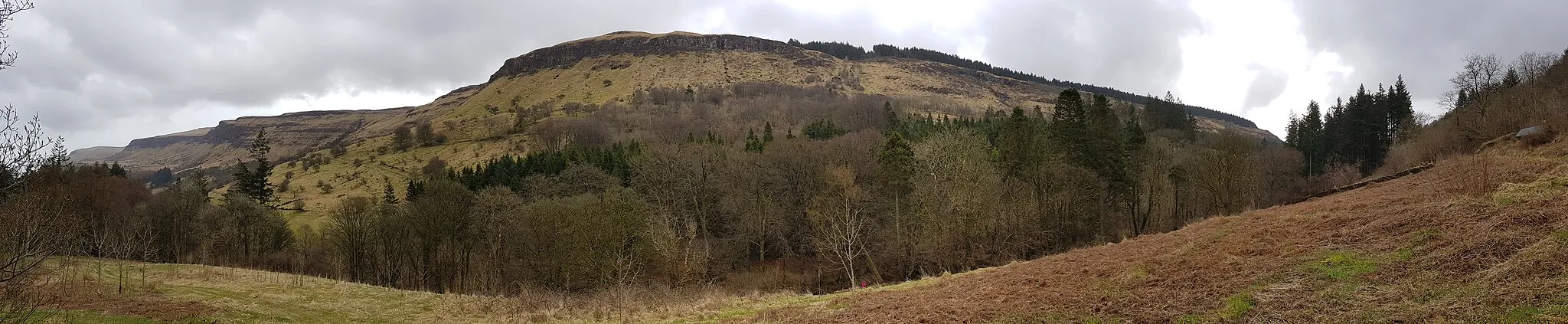 Photo showing: Glenariff Forest Park