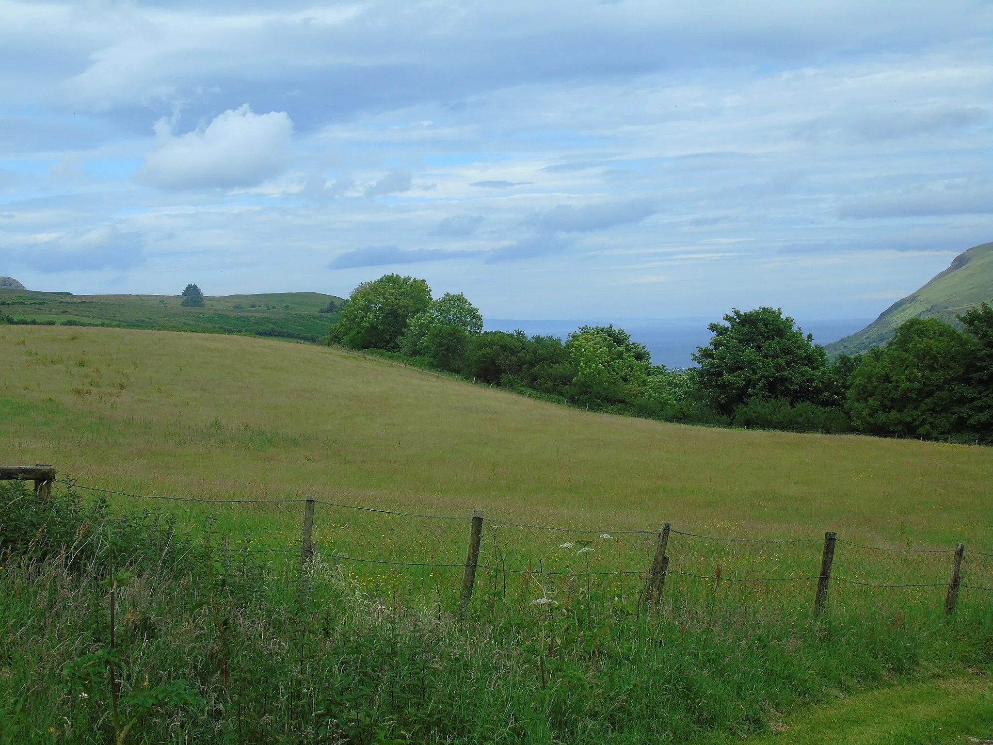 Photo showing: Glenariff Forest Park (2)