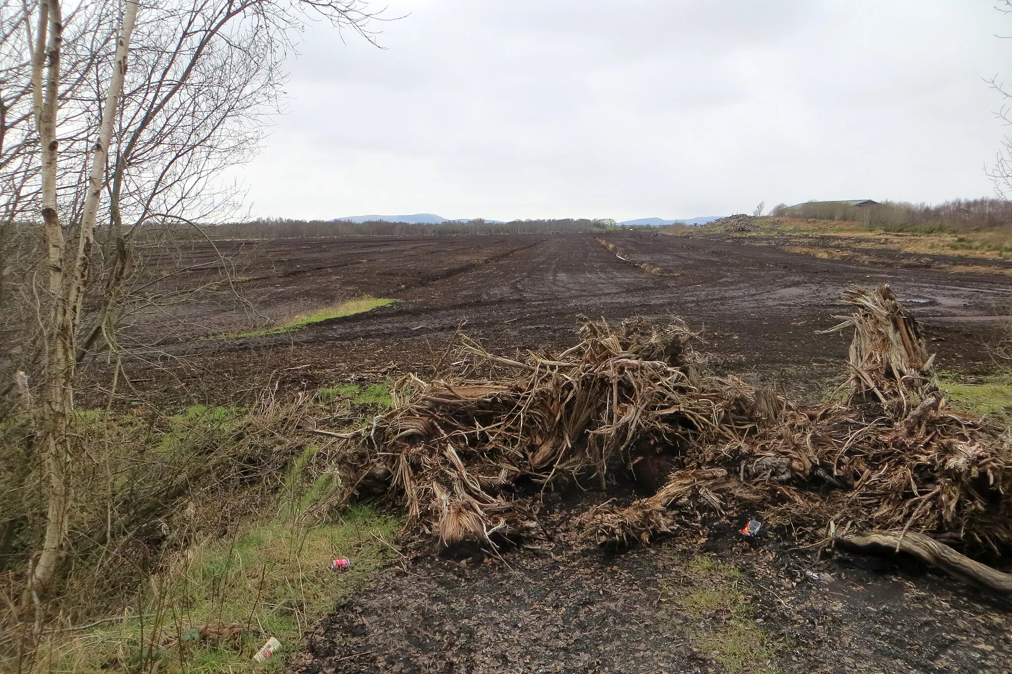 Photo showing: Lough Beg Road