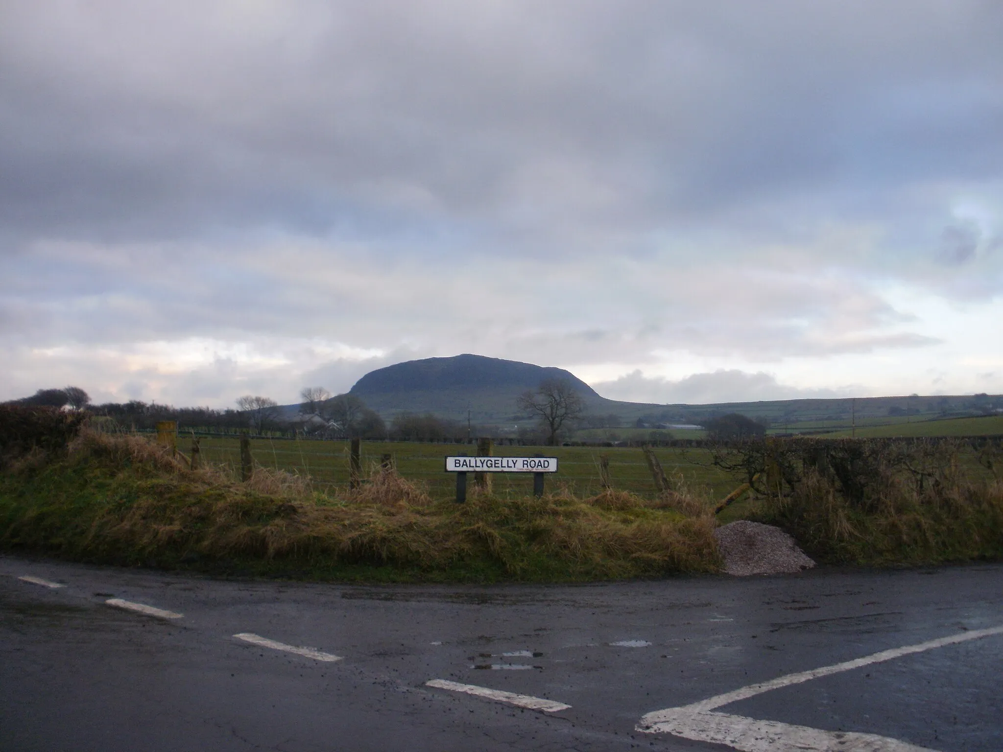 Photo showing: Ballygelly Road outside Broughshane.Slemish mountain is in the background