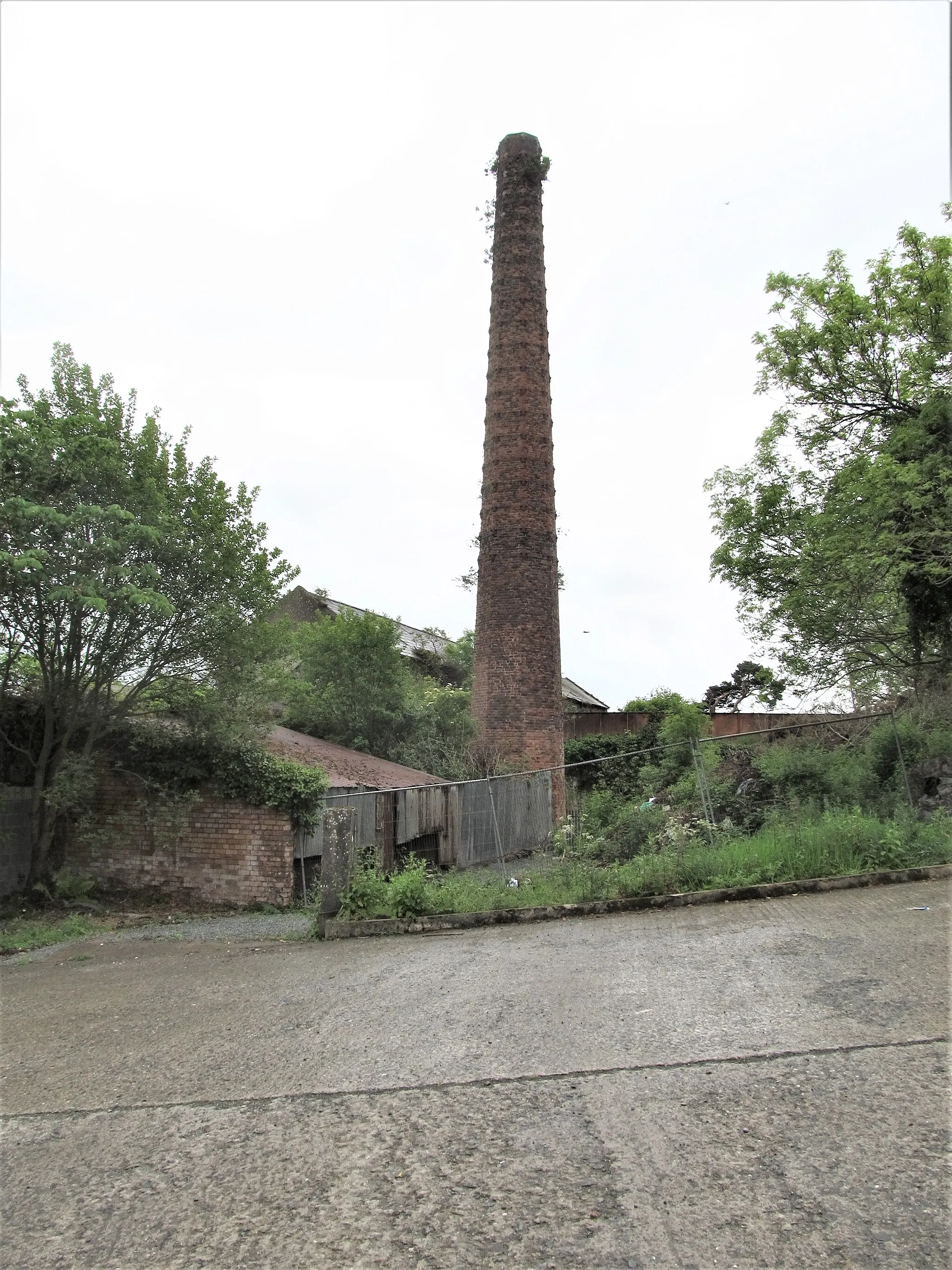 Photo showing: Abandoned linen mill at Annsborough