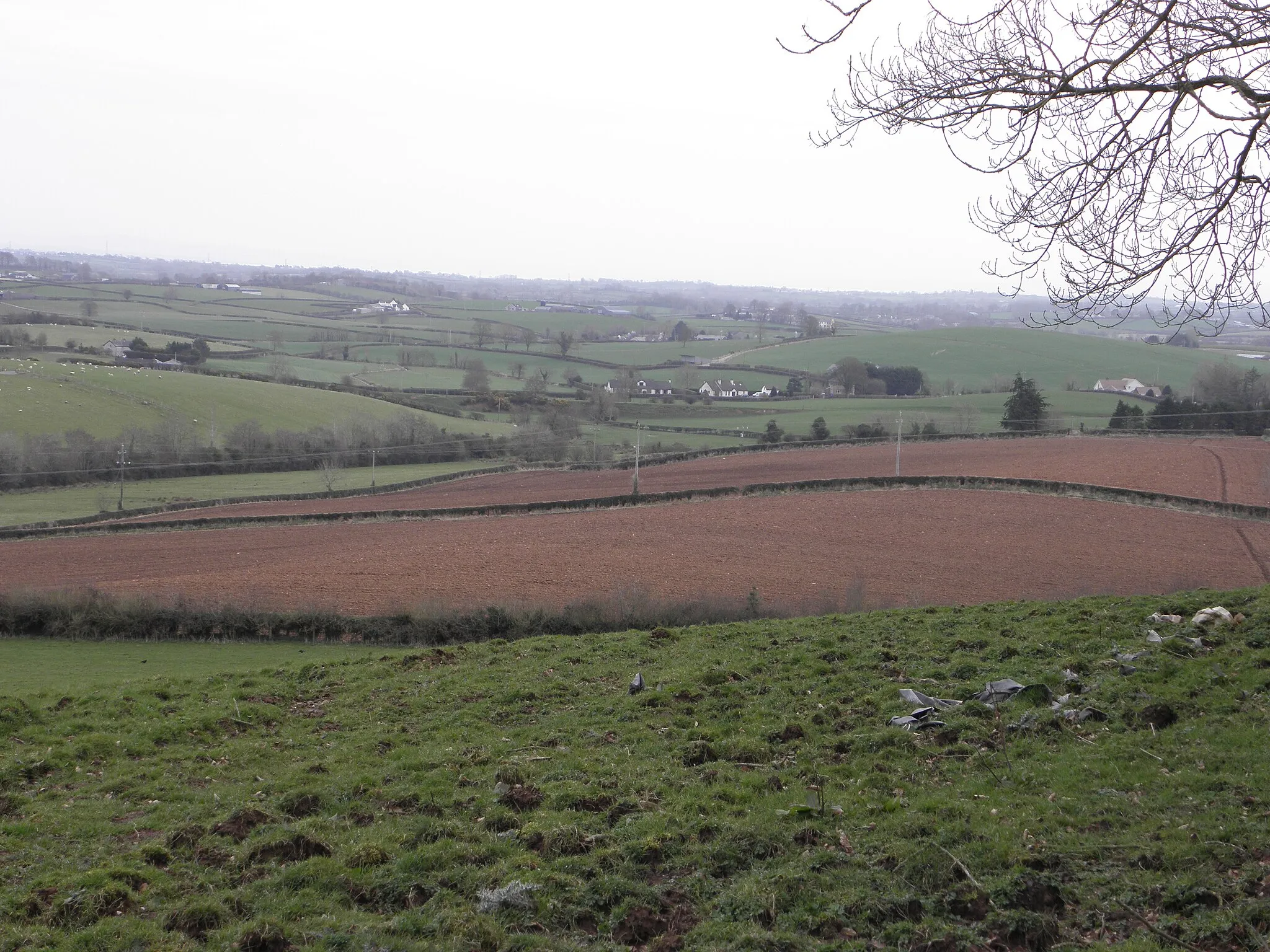 Photo showing: A view from Tullyhogue Fort