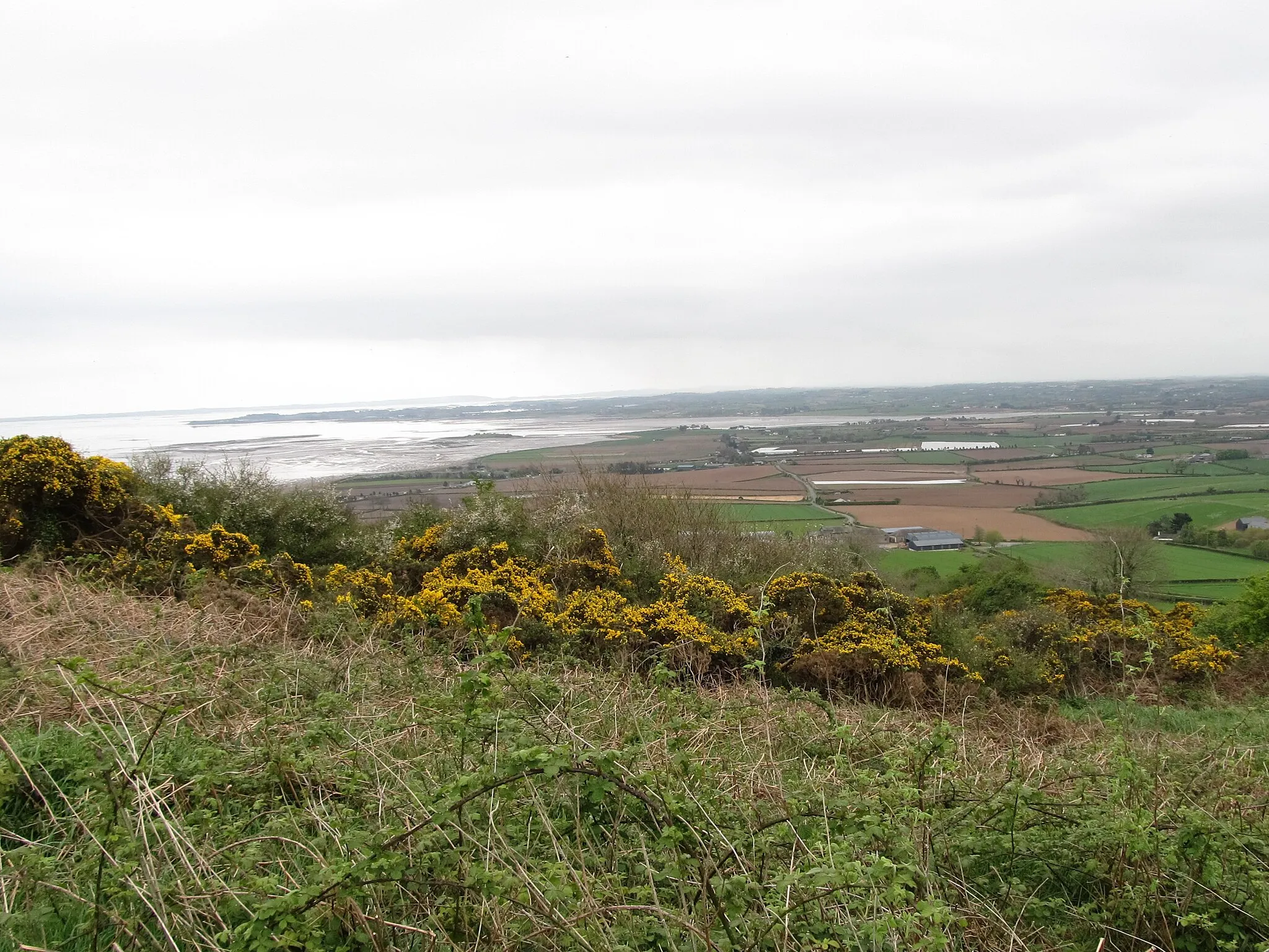 Photo showing: An approaching shower over Strangford Lough viewed from Scrabo Hill