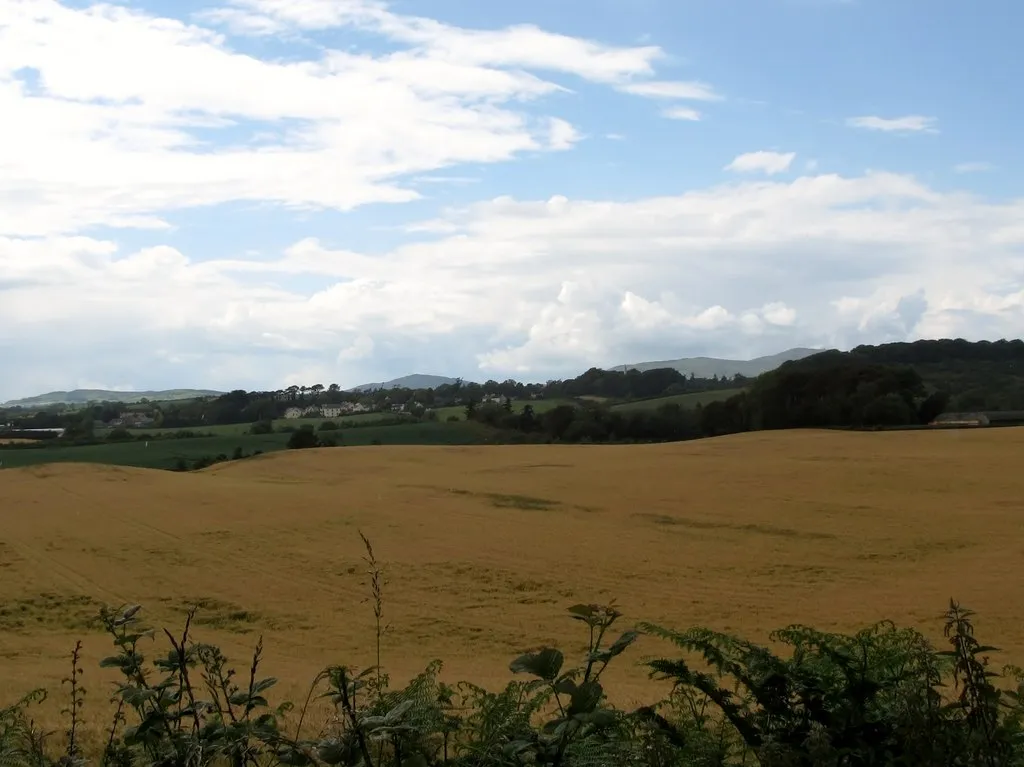 Photo showing: Cropland west of Drumgooland Road