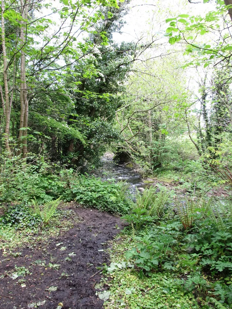 Photo showing: A muddy path leading to the Colin River
