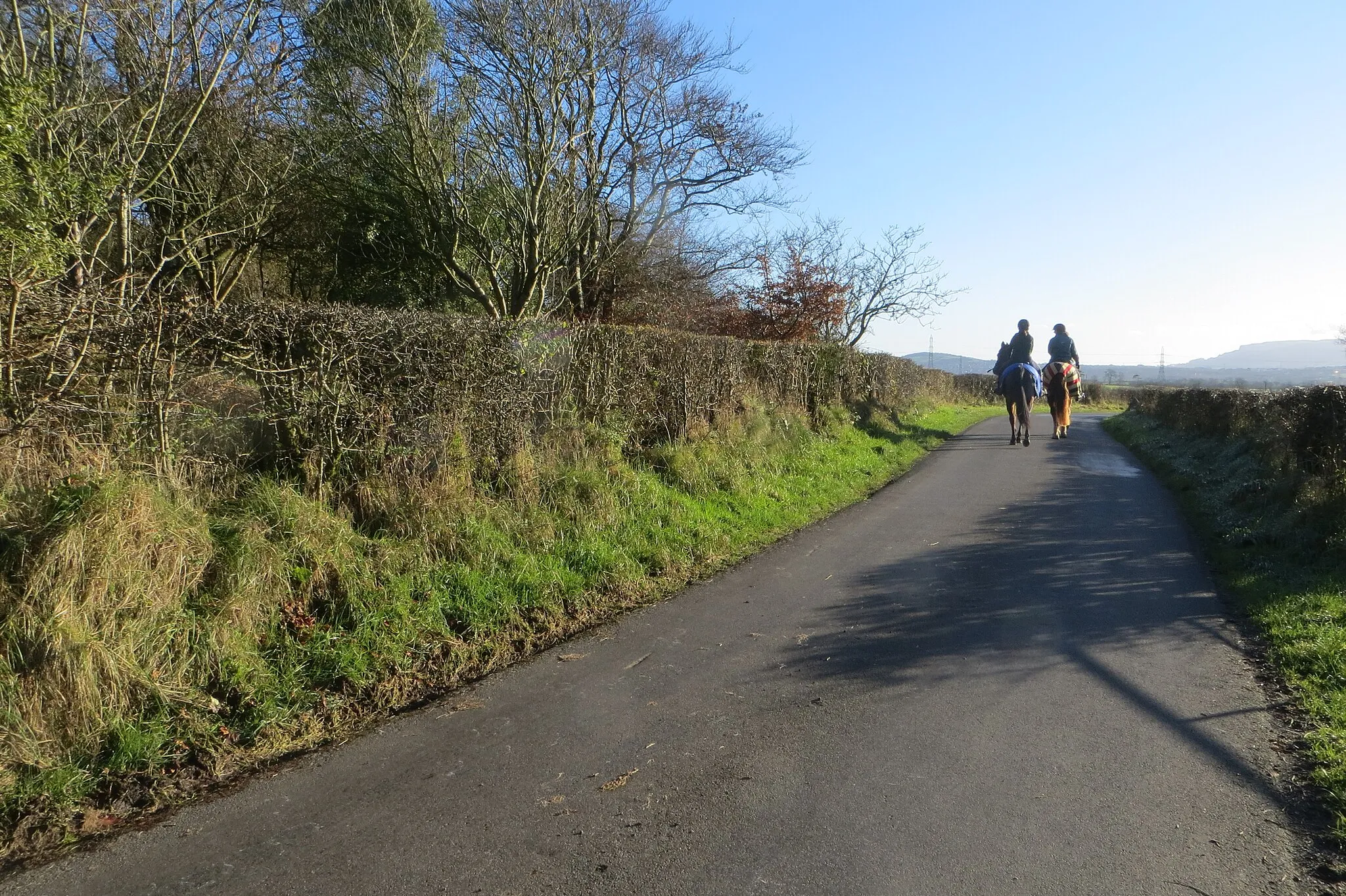 Photo showing: Horseshoe Road