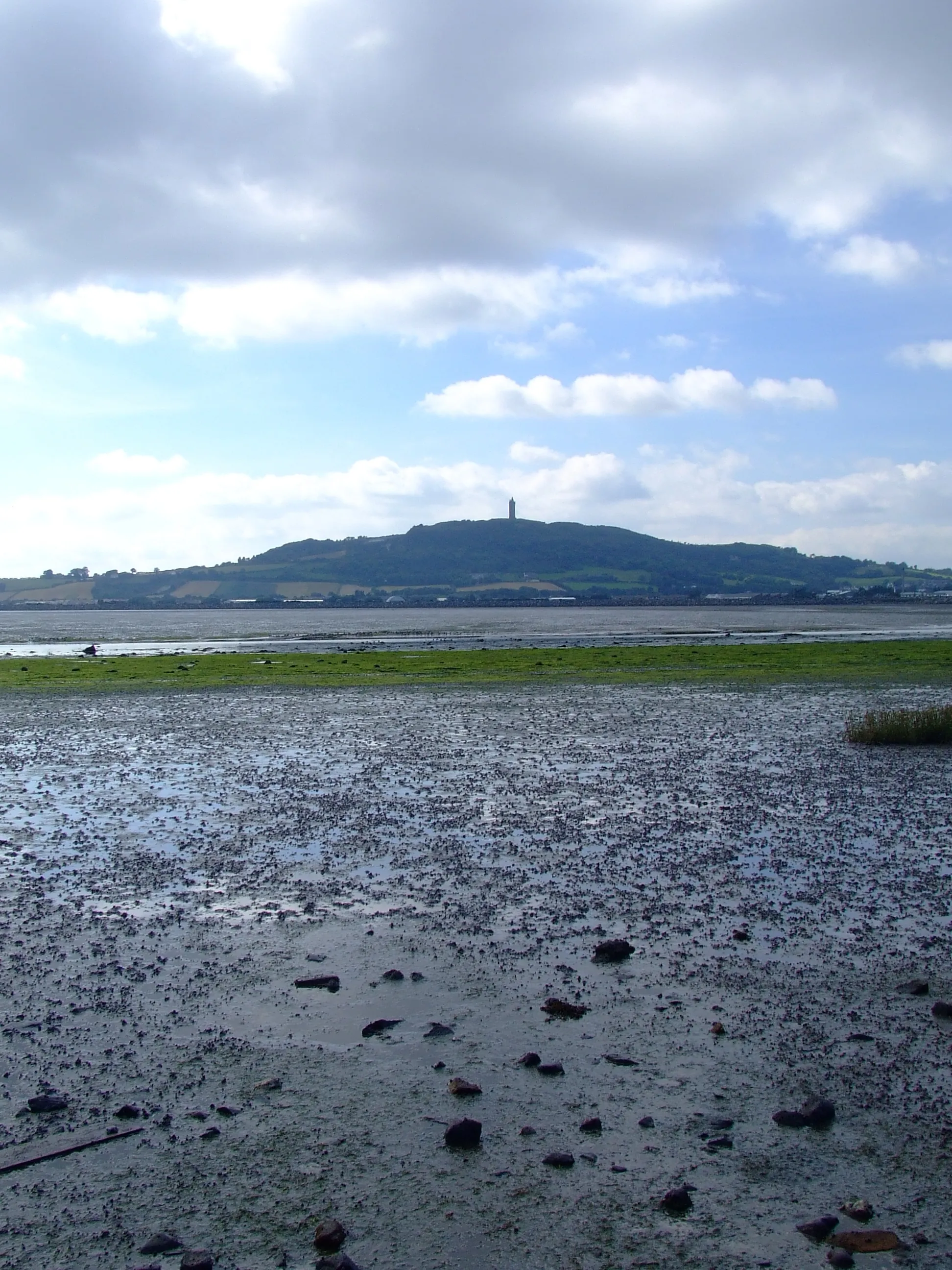 Photo showing: Scrobo Tower, from across Strangford Lough