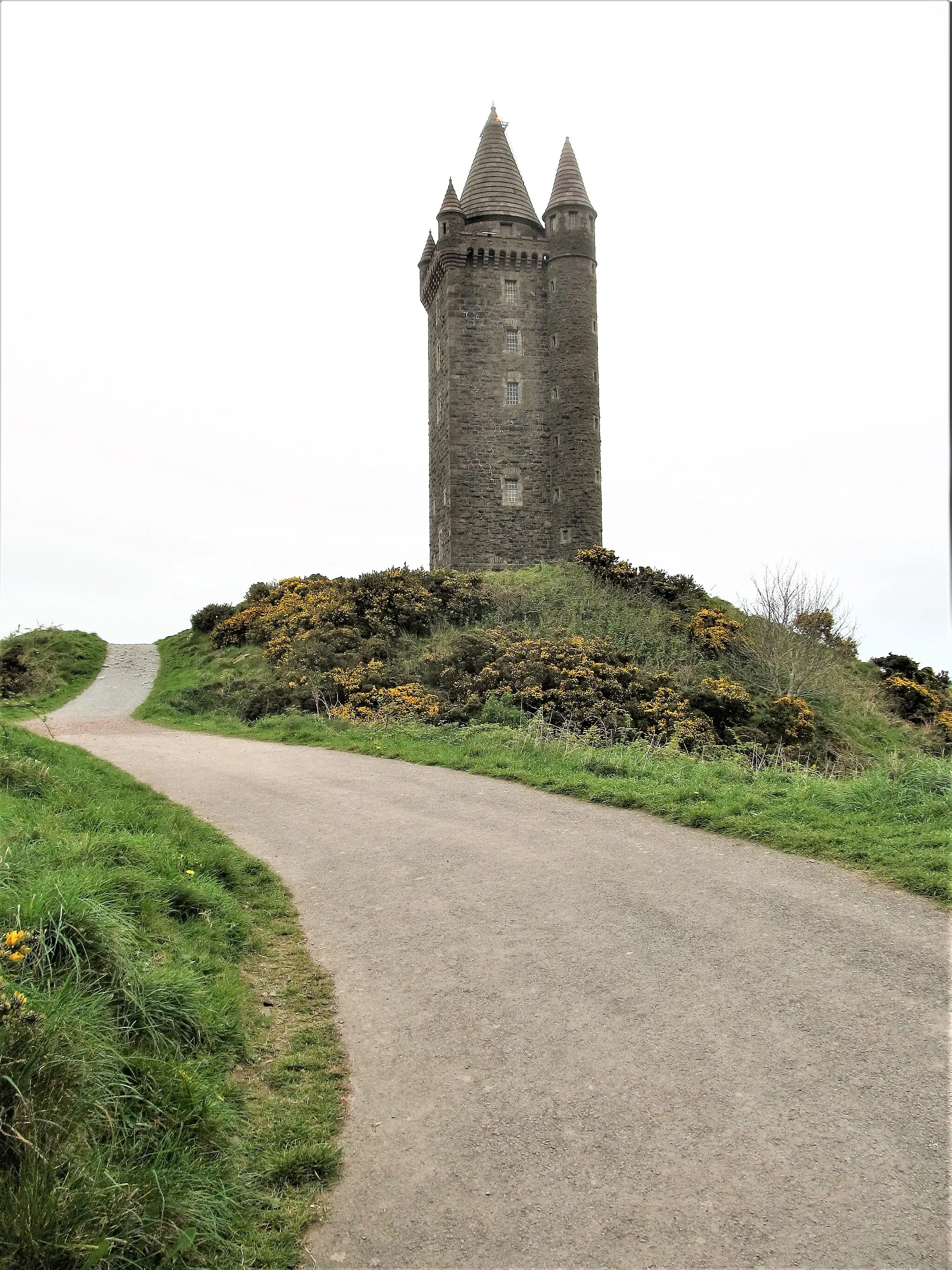 Photo showing: Approaching Scrabo Tower from the south