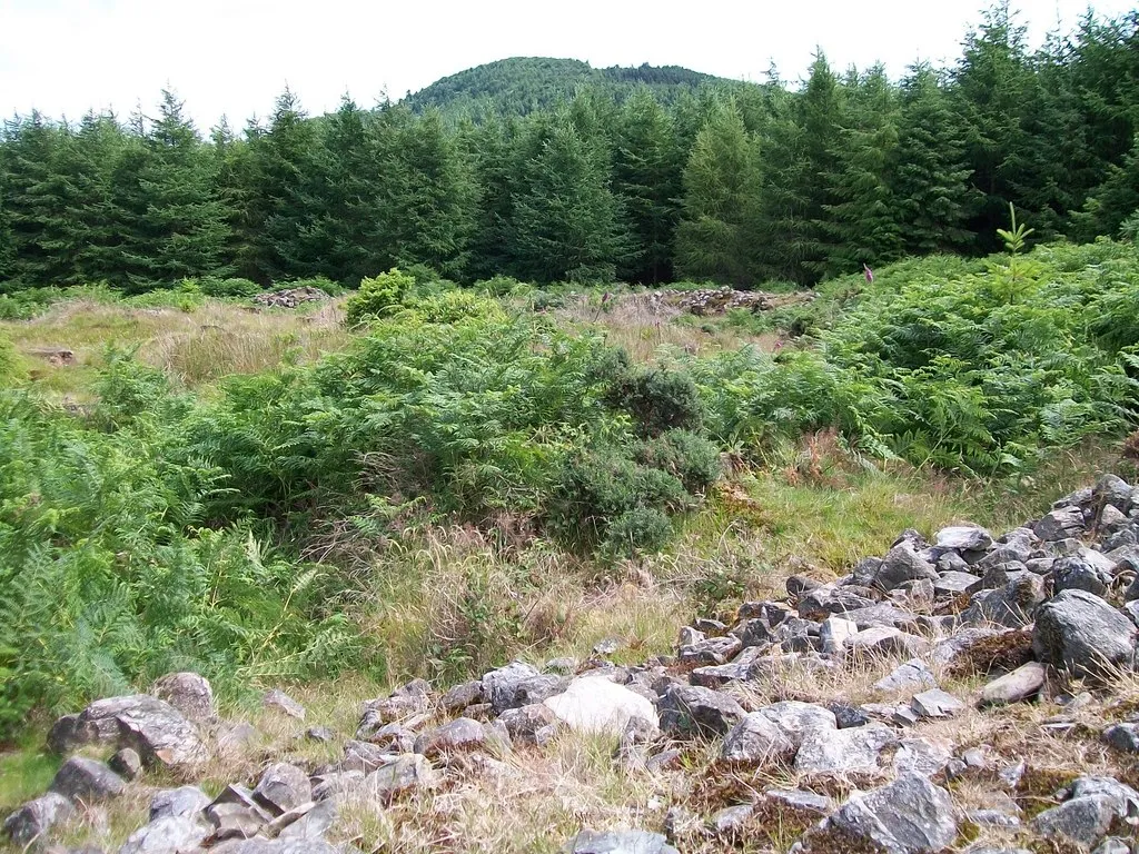 Photo showing: The remains of the White Fort Cashel, Tollymore