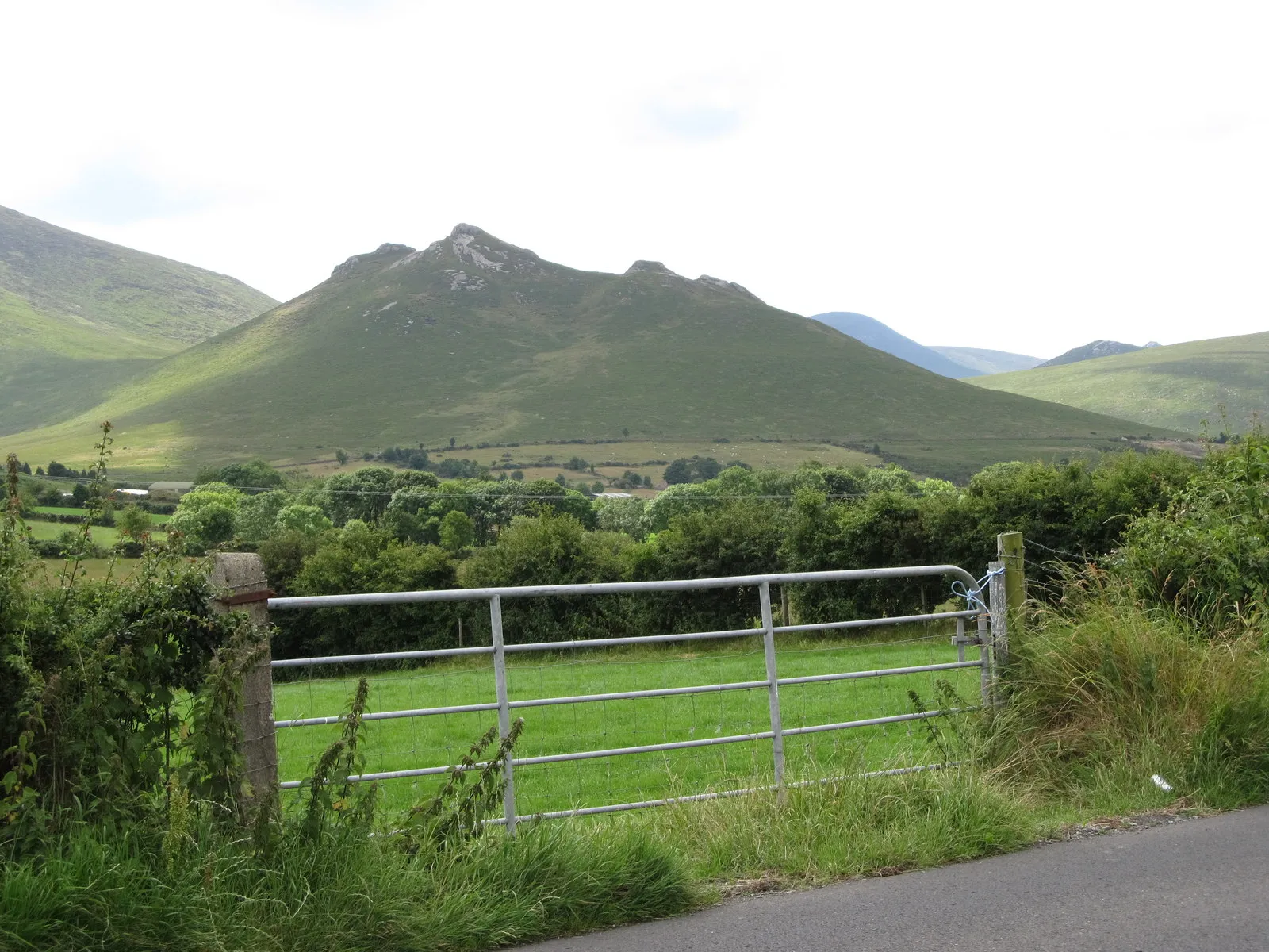 Photo showing: Hen Mountain from the B180 (Bryansford Road)