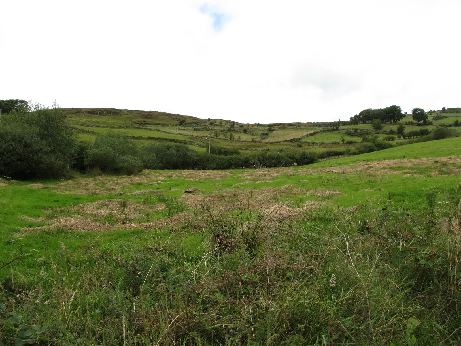 Photo showing: A tributary valley in the upper reaches of the Drumadonnell River