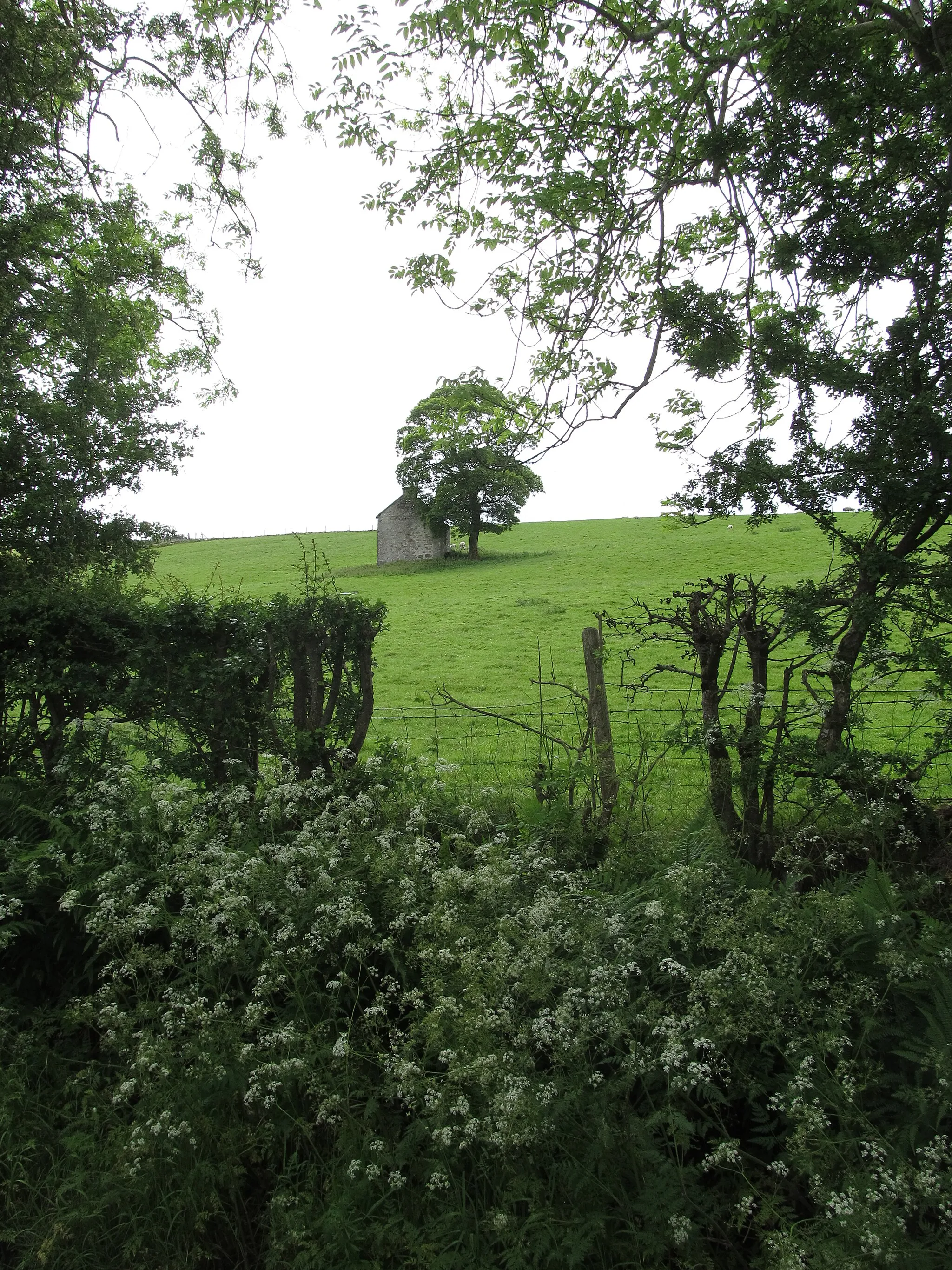 Photo showing: Field barn on the side of Benraw Mountain