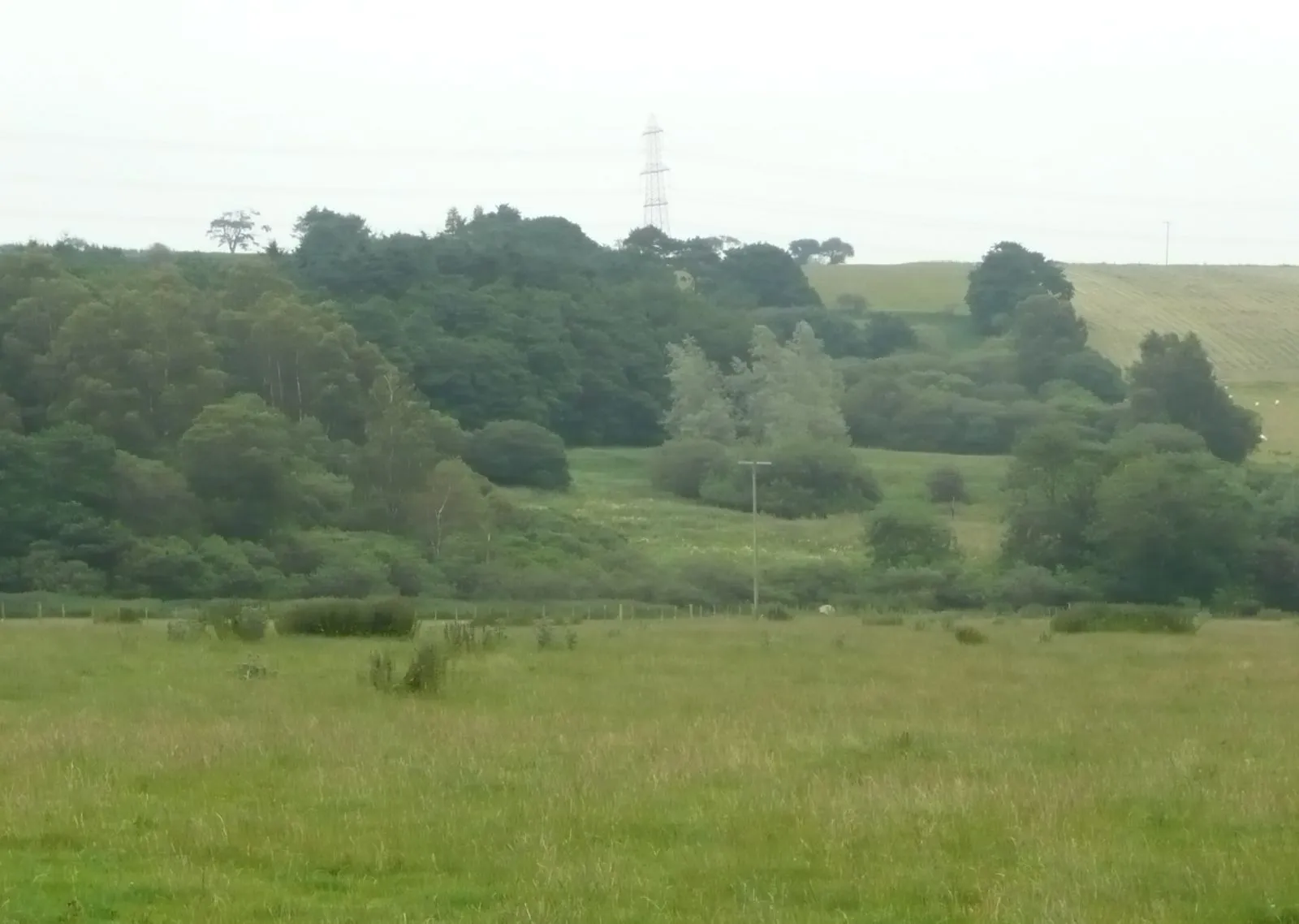 Photo showing: Willow Dykes Wood