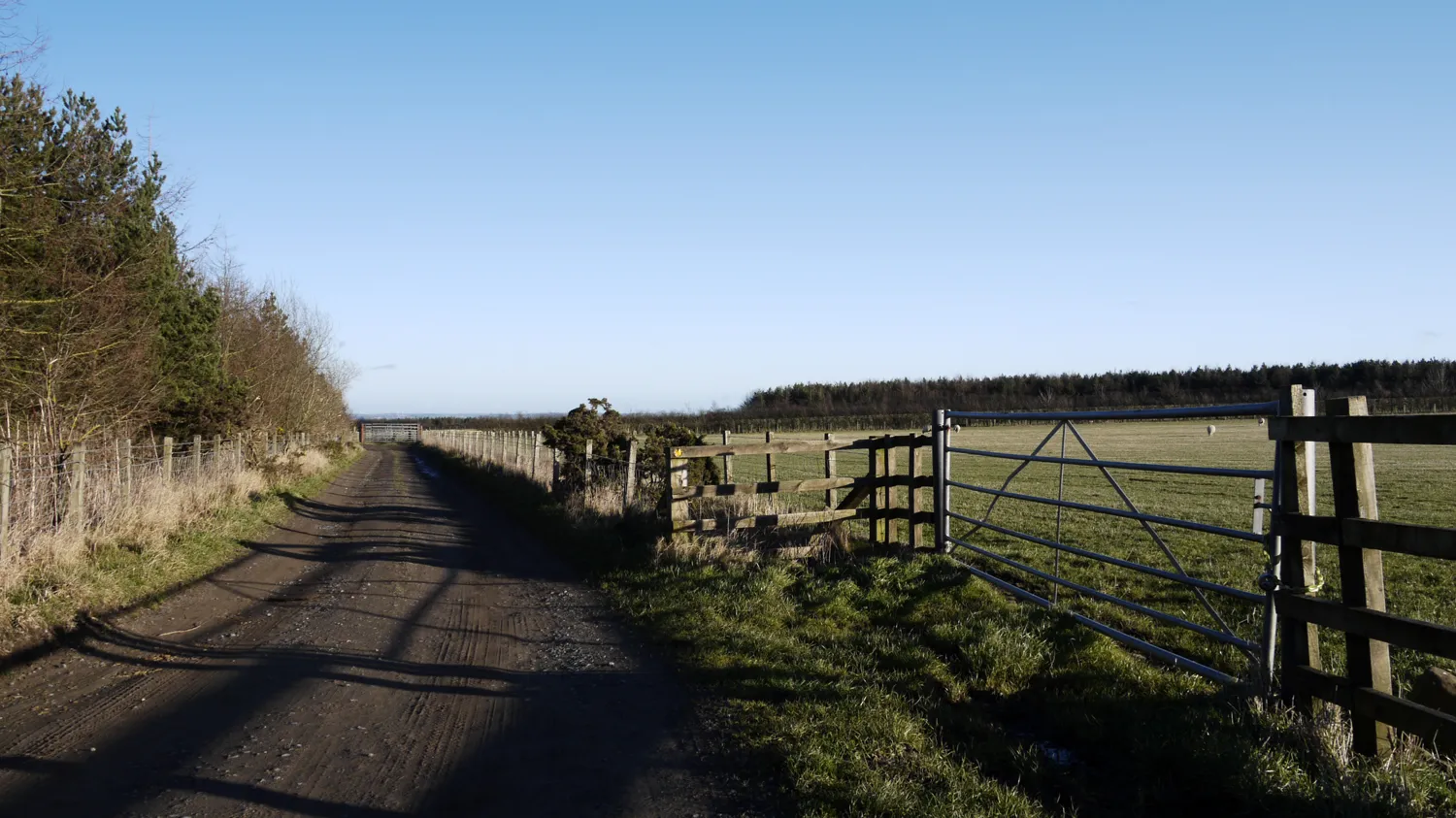 Photo showing: Access road at junction with the Deerness Valley Walk
