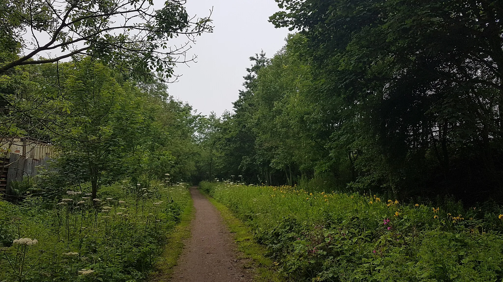 Photo showing: View West along the Hart-Haswell Walkway just west of Hesleden, County Durham.
Here the Walkway follows the route of the Hartlepool Dock & Railway Co. line of 1835 which was later linked to other contemporary lines to form the North Eastern Railway's inland West Hartlepool to Sunderland via Haswell and West Hartlepool to Ferryhill Lines. Contemporary maps suggest that this was the site of a section of triple or quadruple track between the railway station (behind the photographer) and the junction with the branch to Castle Eden Colliery.