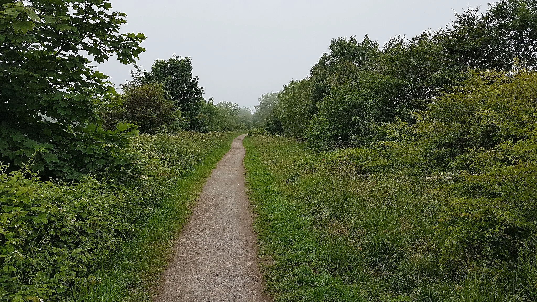 Photo showing: View West along the Hart-Haswell Walkway just east of Hesleden, County Durham.
Here the Walkway follows the route of the Hartlepool Dock & Railway Co. line which was later linked to other contemporary lines to form the North Eastern Railway's inland West Hartlepool to Sunderland via Haswell and West Hartlepool to Ferryhill Lines. Contemporary maps suggest that this was the site of a section of quadruple track, used to stable trains and detach the banking engines used to haul longer and heavier up the 1 in 50 Hesleden Bank. The bank had originally been rope-worked at 1 in 34 but was replaced by more gently-graded single-track deviation lines (running either side of it) in 1874 to enable locomotive working.