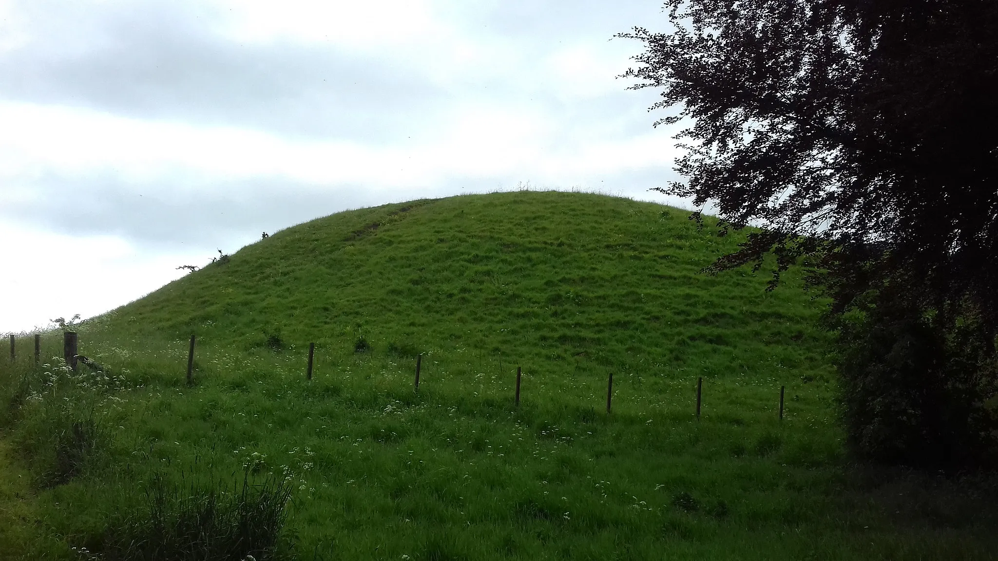 Photo showing: Looking up at the top of Haw Hill