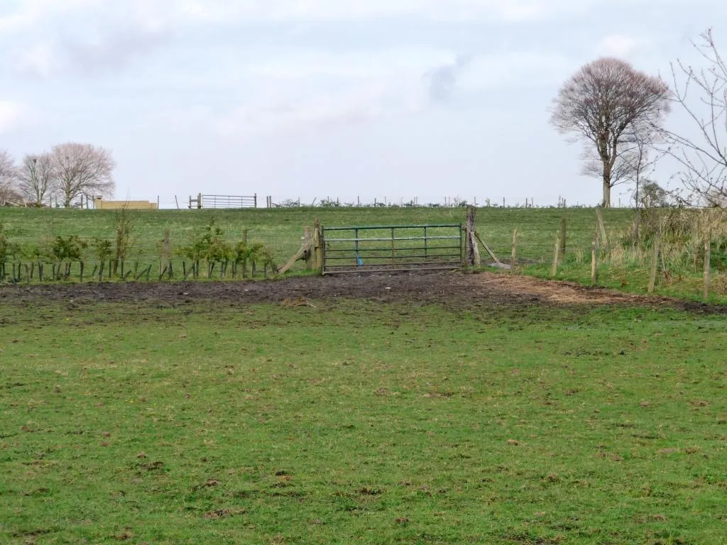 Photo showing: Fenced farmland east of the B6173